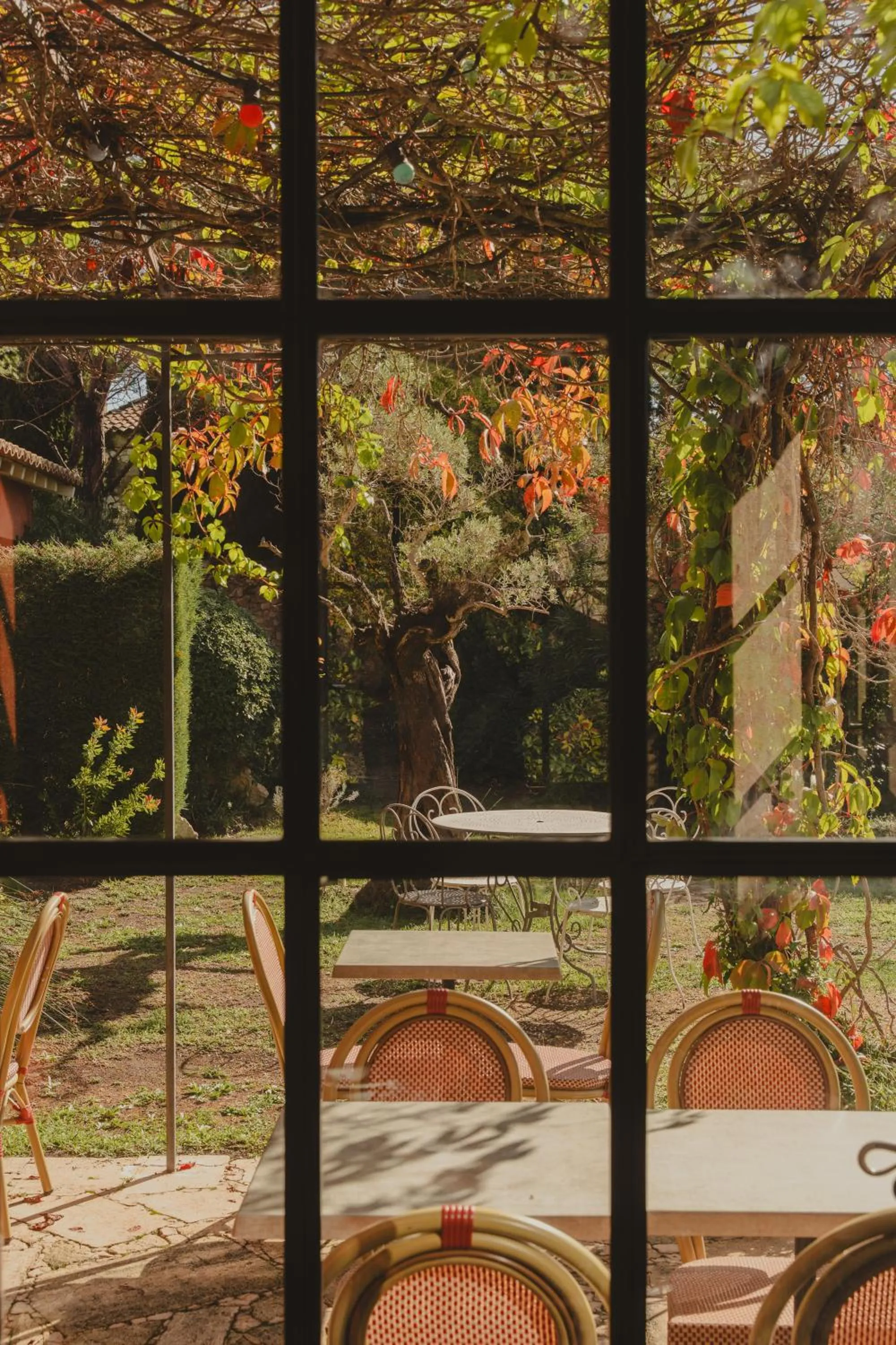 Garden view in Castillon Des Baux