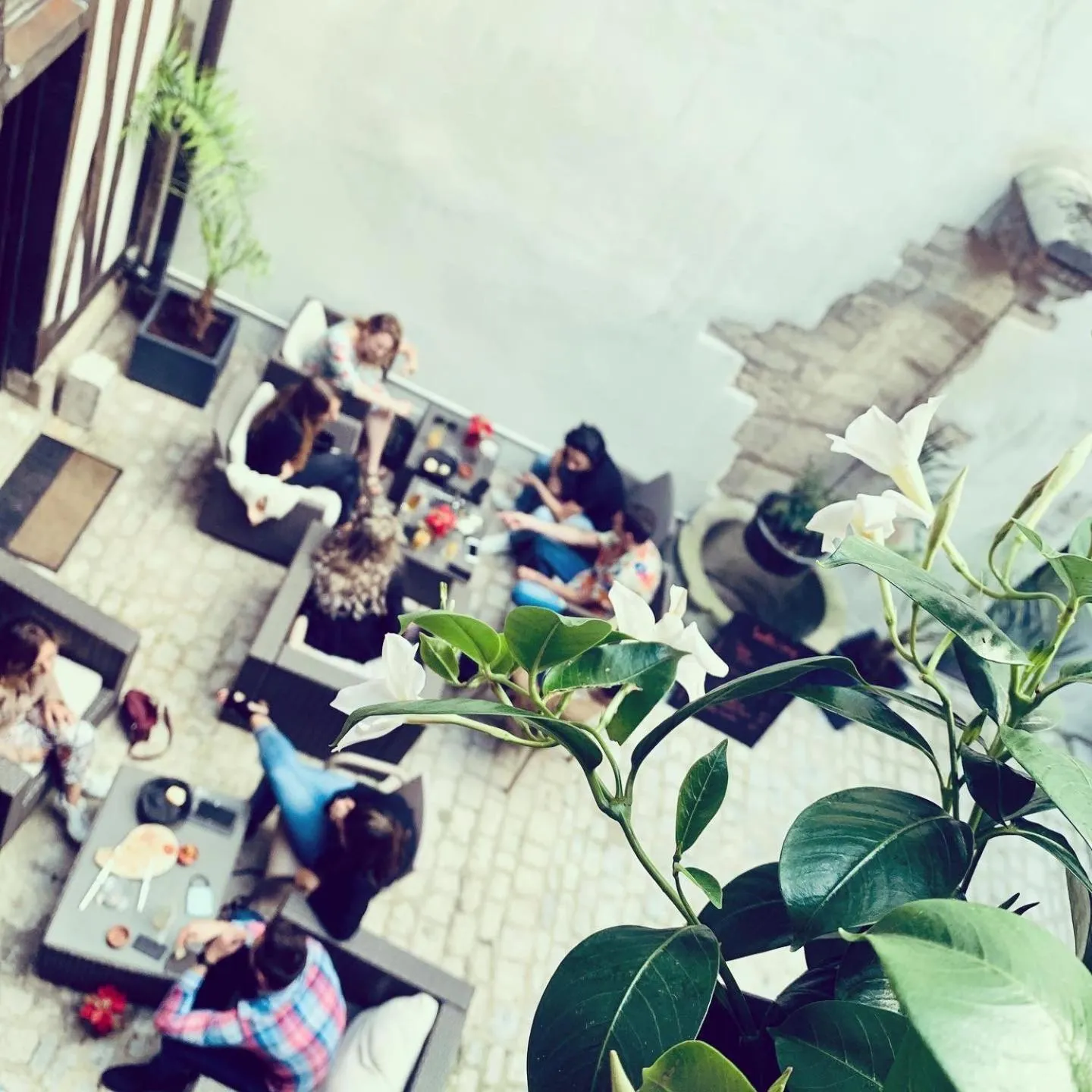 Patio in Maison Philippe Le Bon Hôtel, Restaurant & Bar le 19