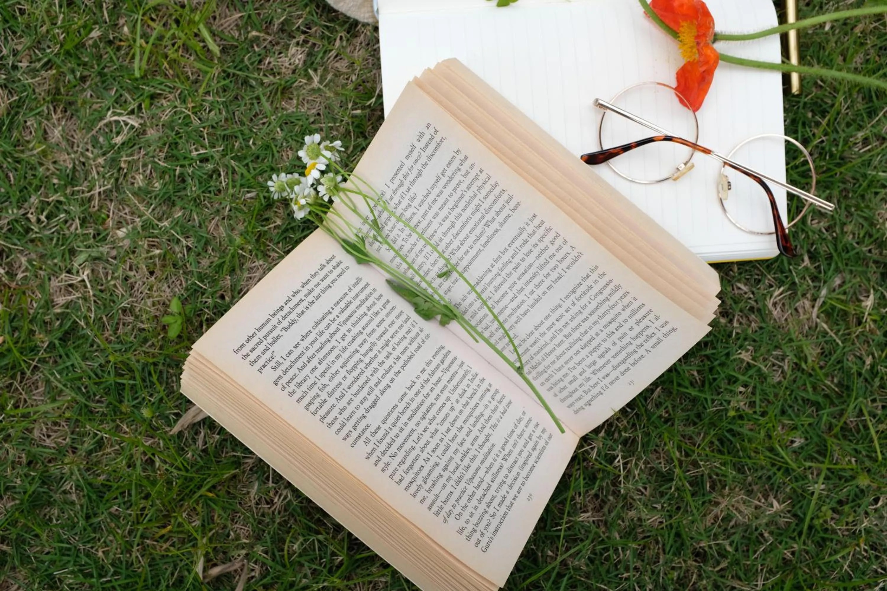 Garden in Ascott IFC Guangzhou