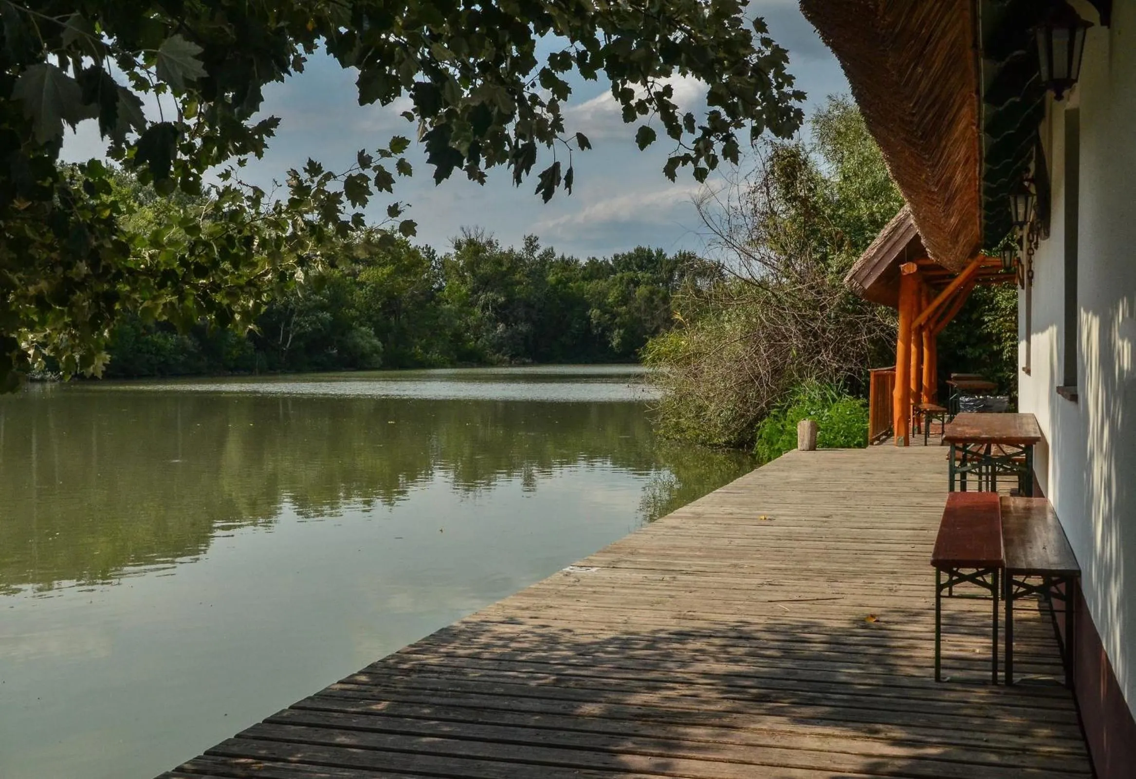 Fishing in Antal-tavi Fogadó és Horgászparadicsom
