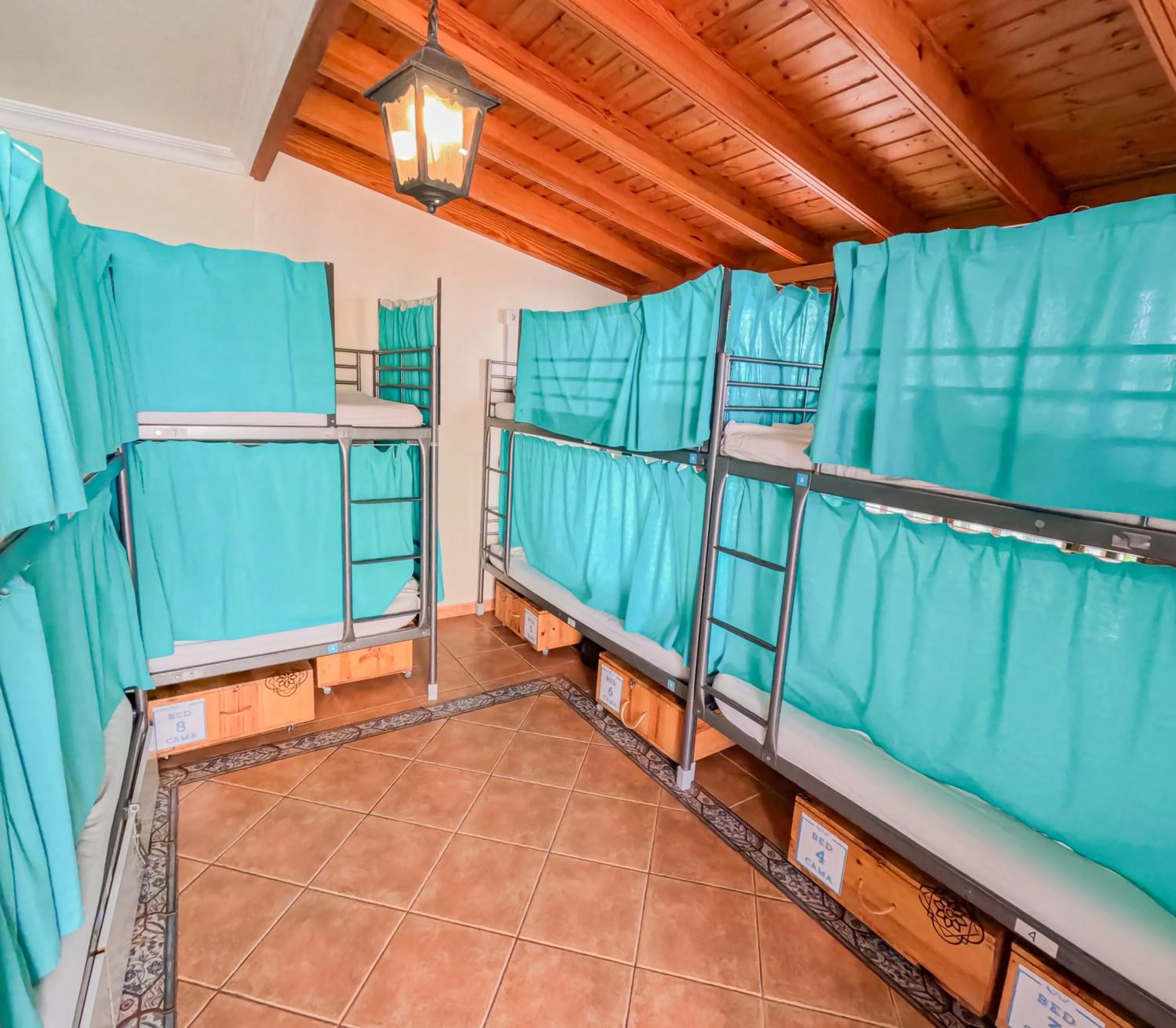 Bed in Arena Nest Hostel