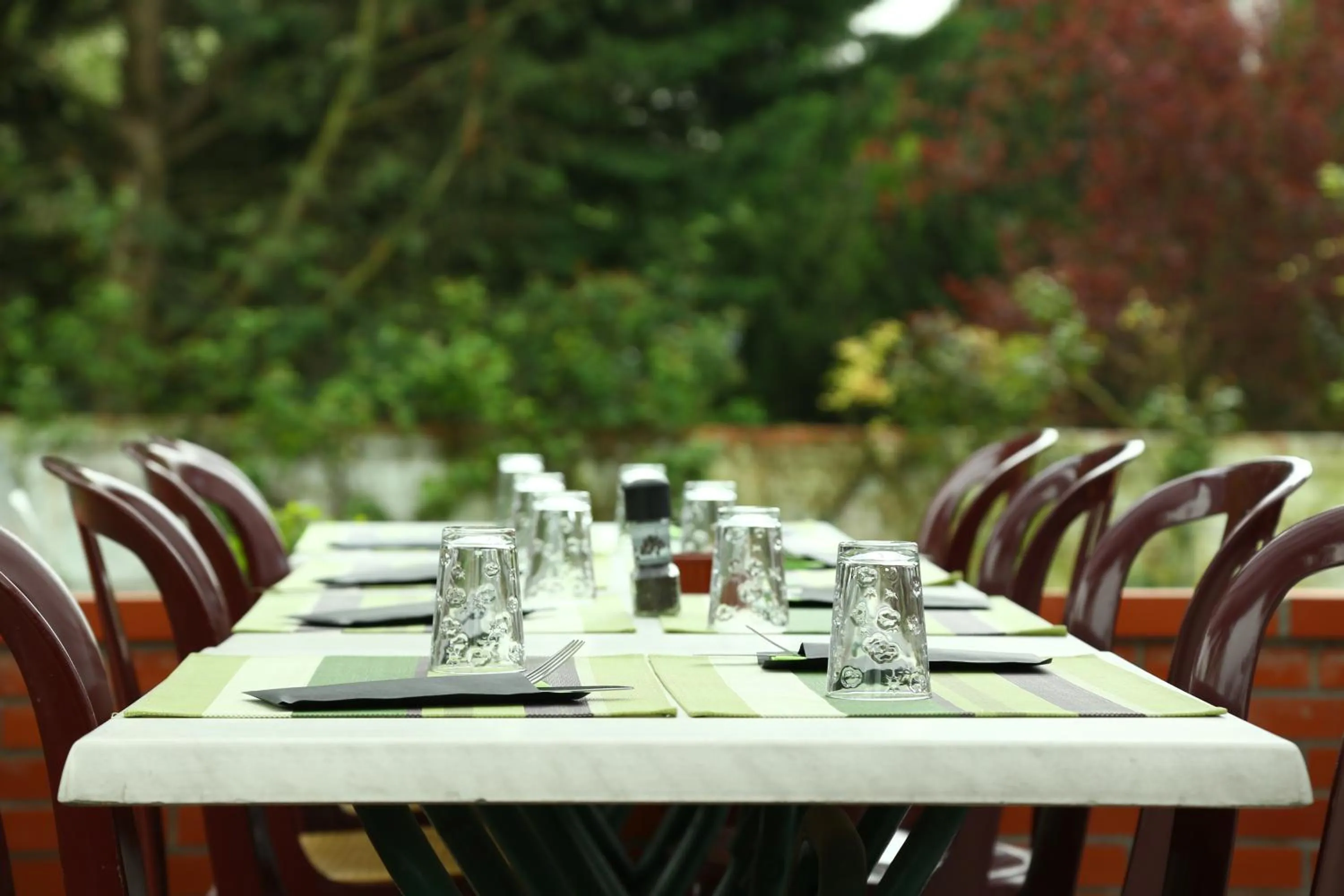 Garden in Hôtel Restaurant Maison Blanche