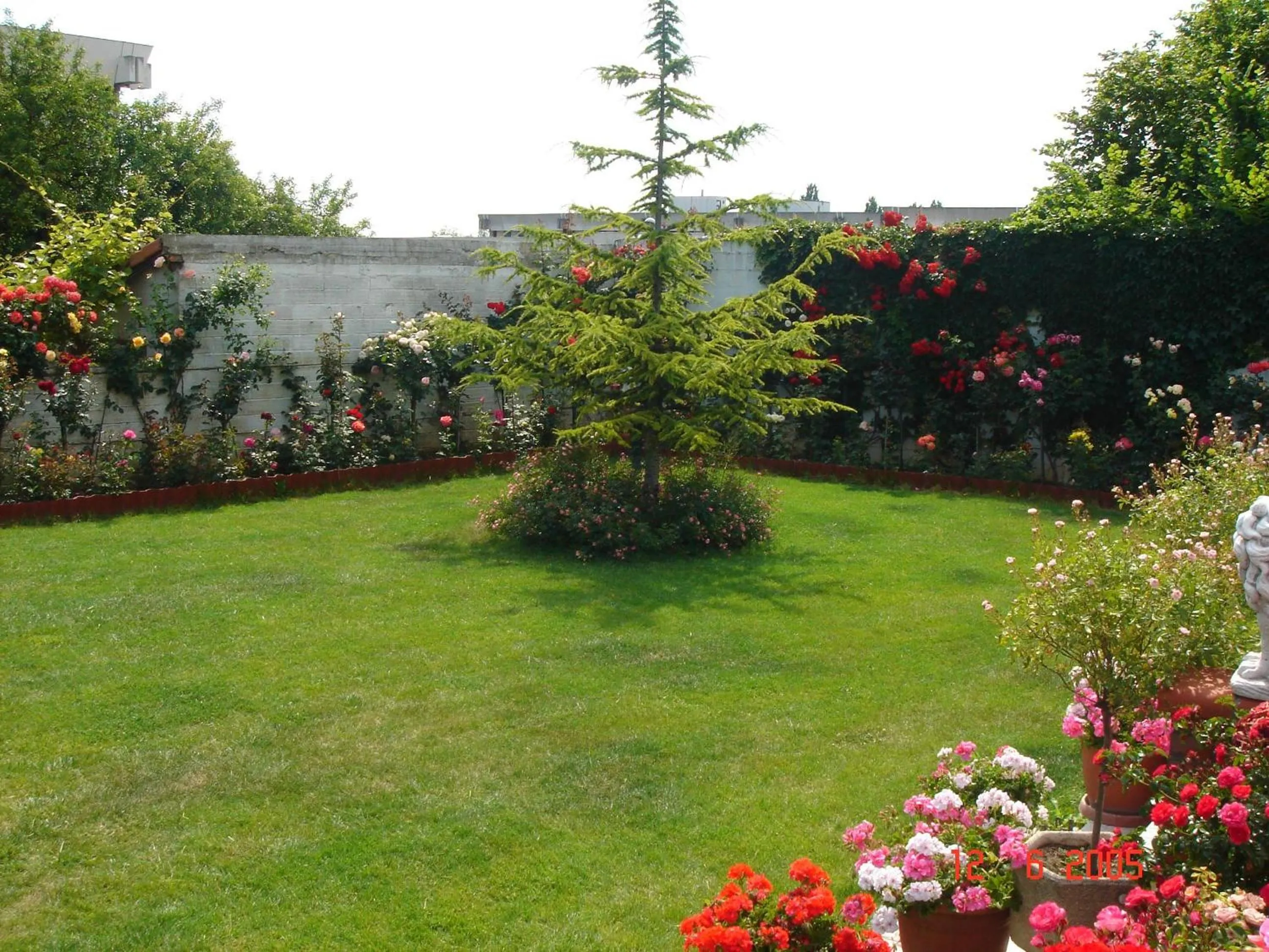Garden in Hôtel Restaurant Maison Blanche