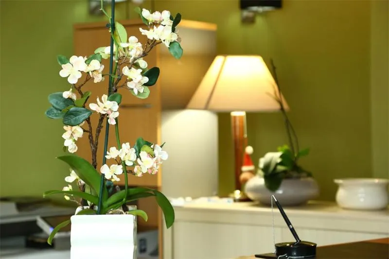 Lobby or reception in Hôtel Restaurant Maison Blanche