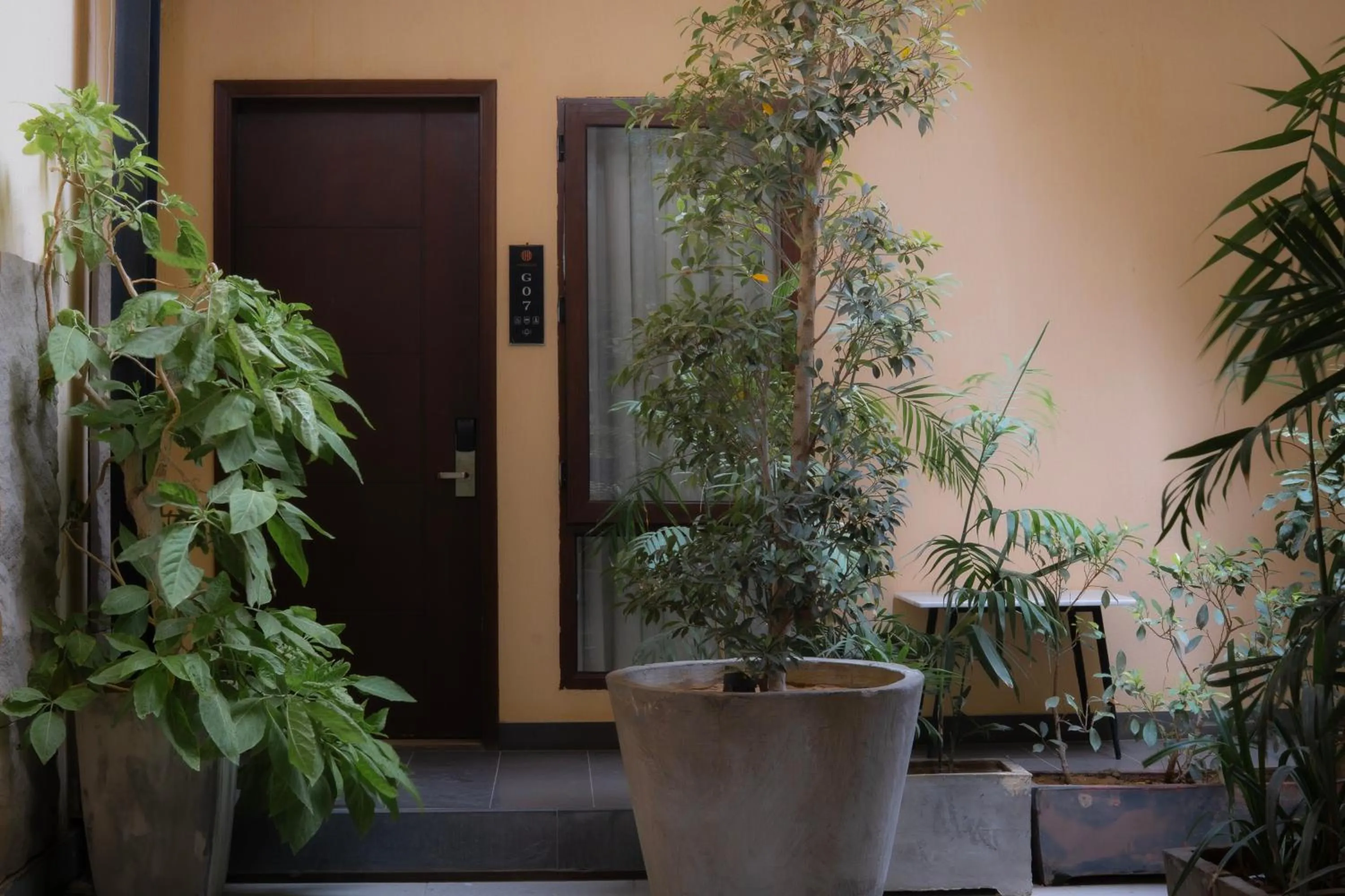 Day in Hamsun Shahrah-e-Faisal