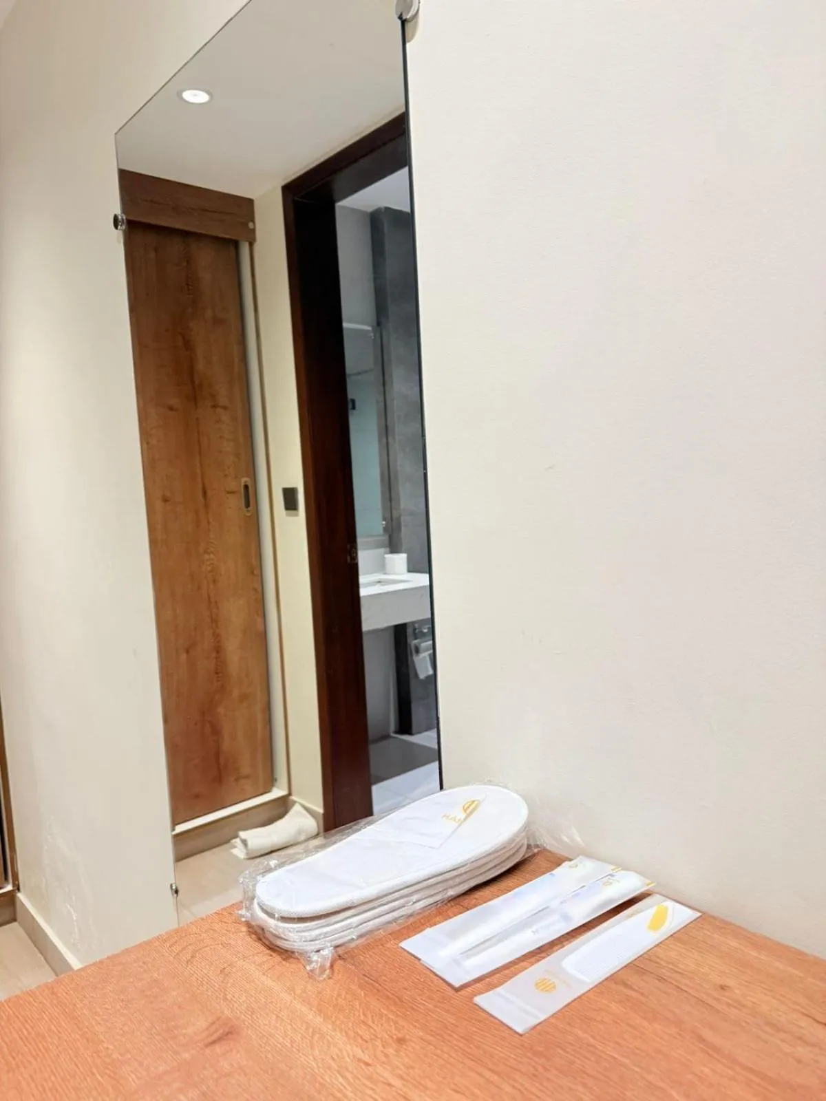 Toilet in Hamsun Shahrah-e-Faisal