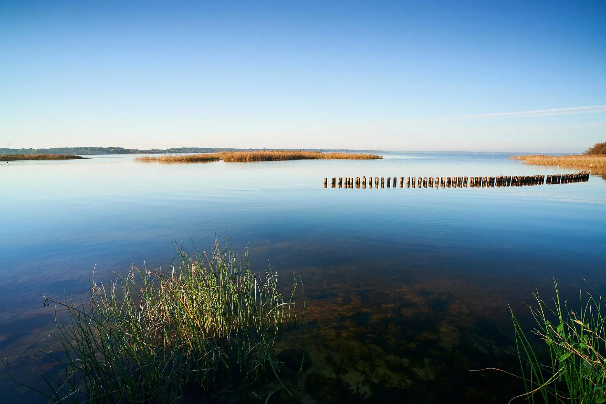 Natural landscape in Les Cottages Du Lac
