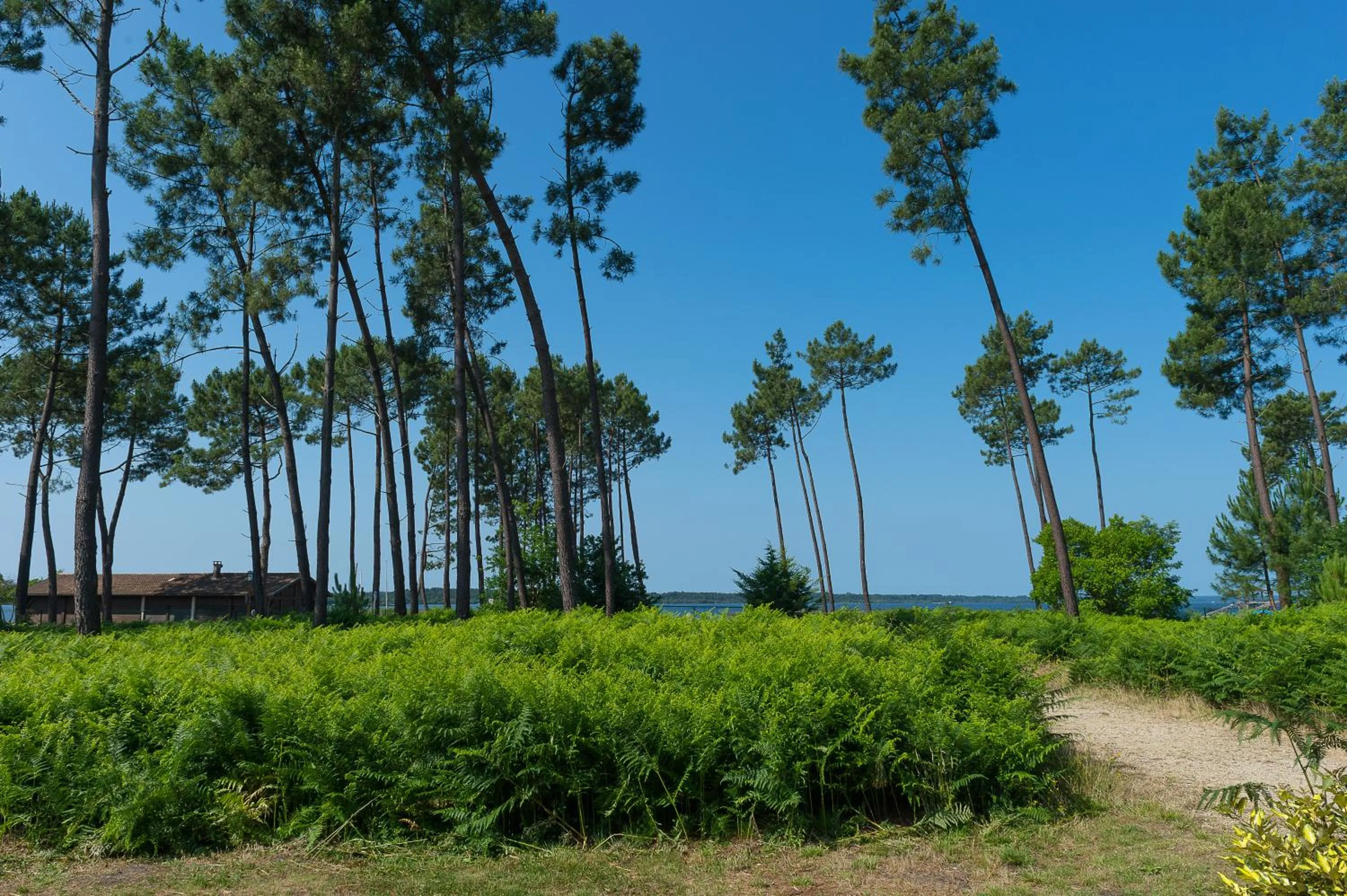 Natural landscape in Les Cottages Du Lac