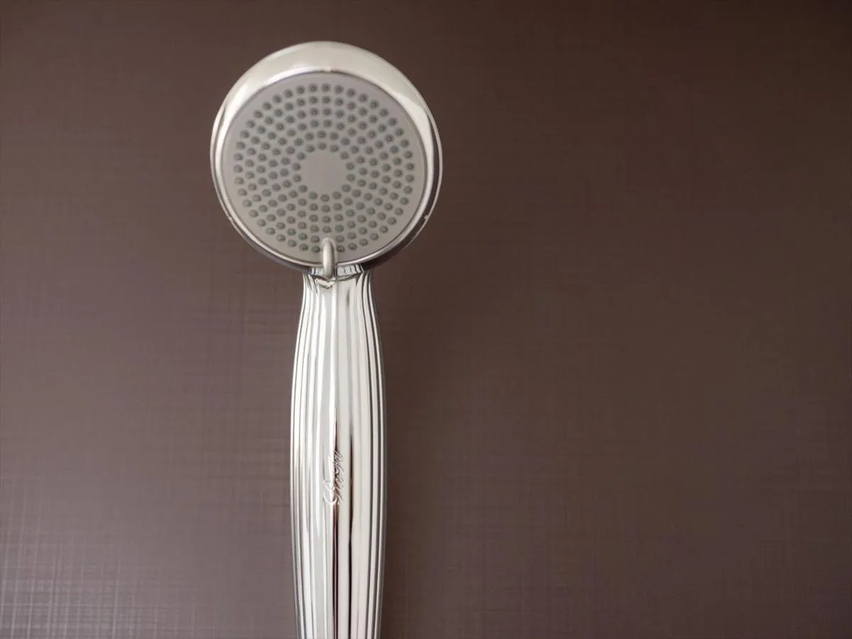 Shower in Super Hotel Premier Saitama Higashiguchi