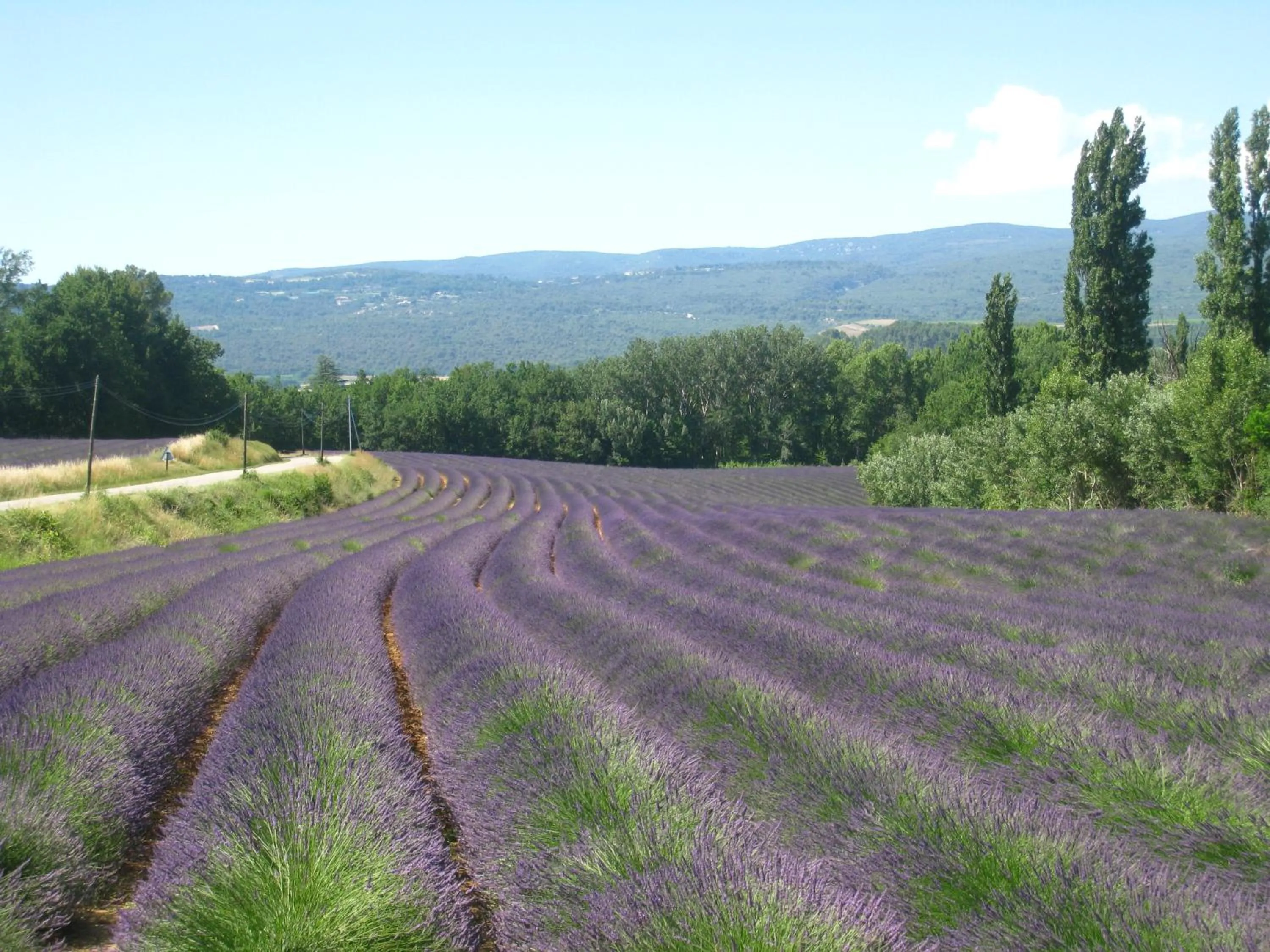 Off site in Le Refuge