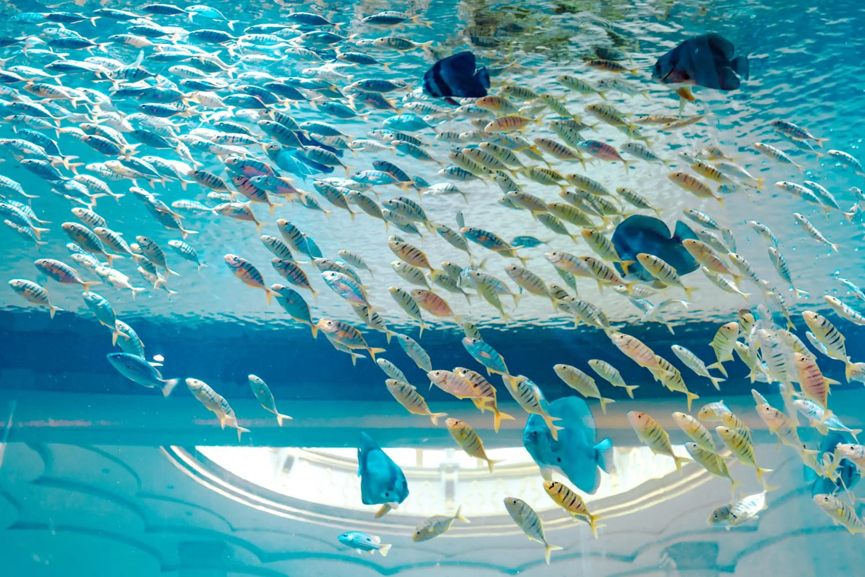 Lobby or reception in GUOCE Beijing Capital Airport Hotel & Convention Center