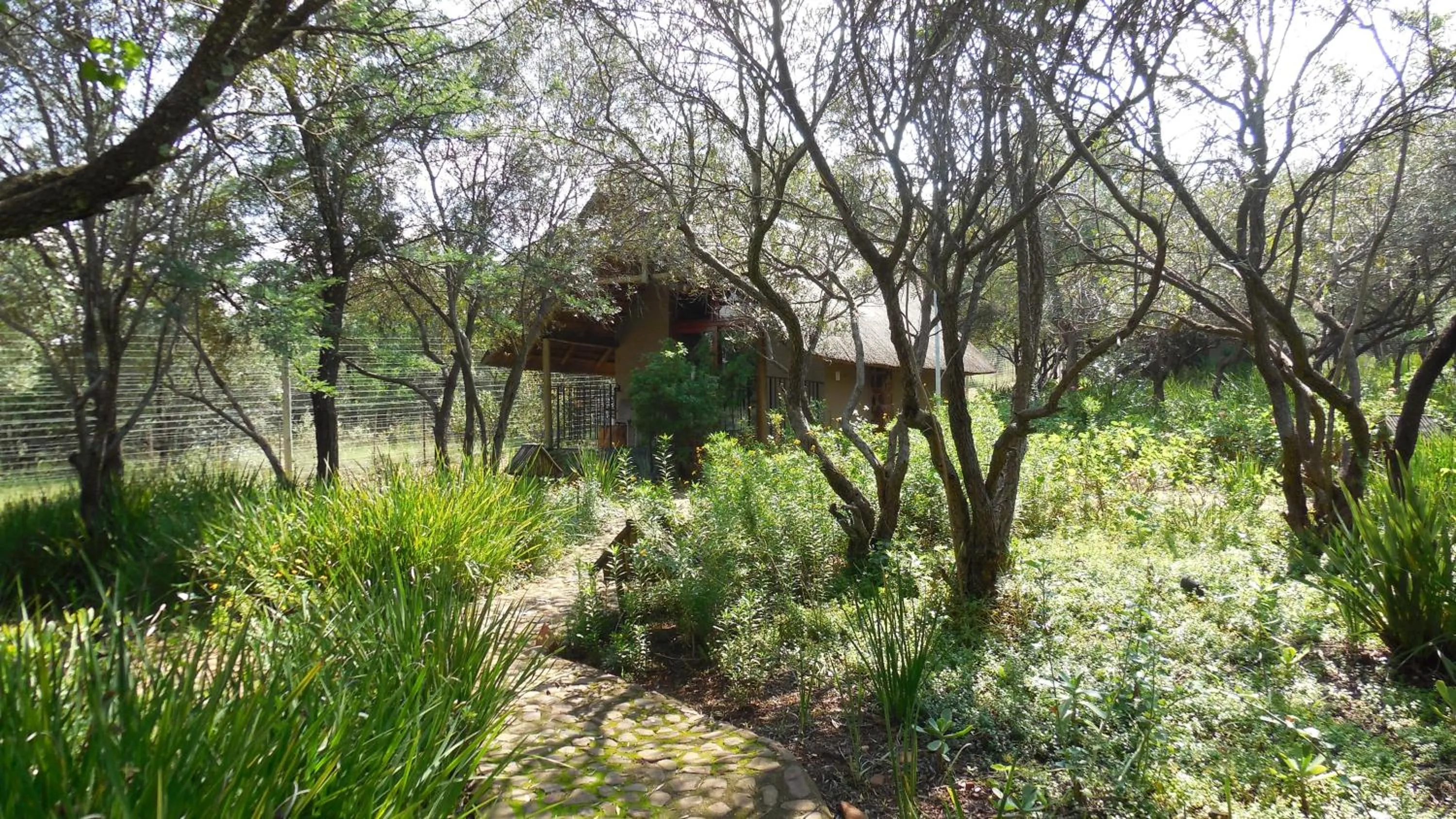 Garden view in Tidimalo Lodge