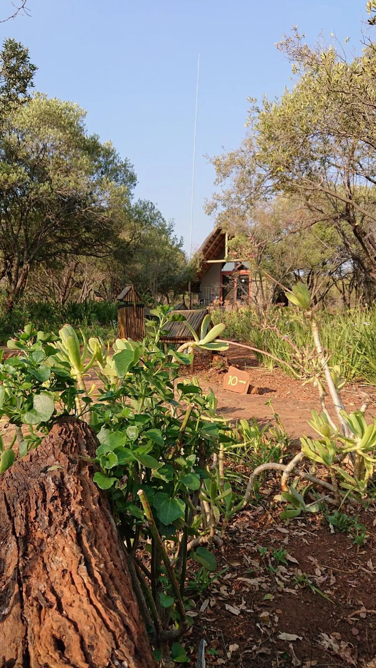 Facade/entrance in Tidimalo Lodge