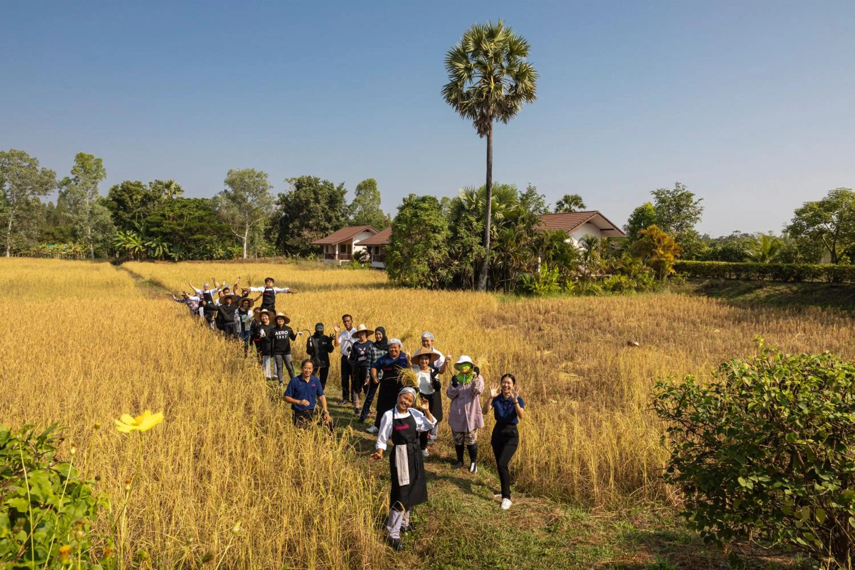 Natural landscape in Pimali Resort & Training Centre