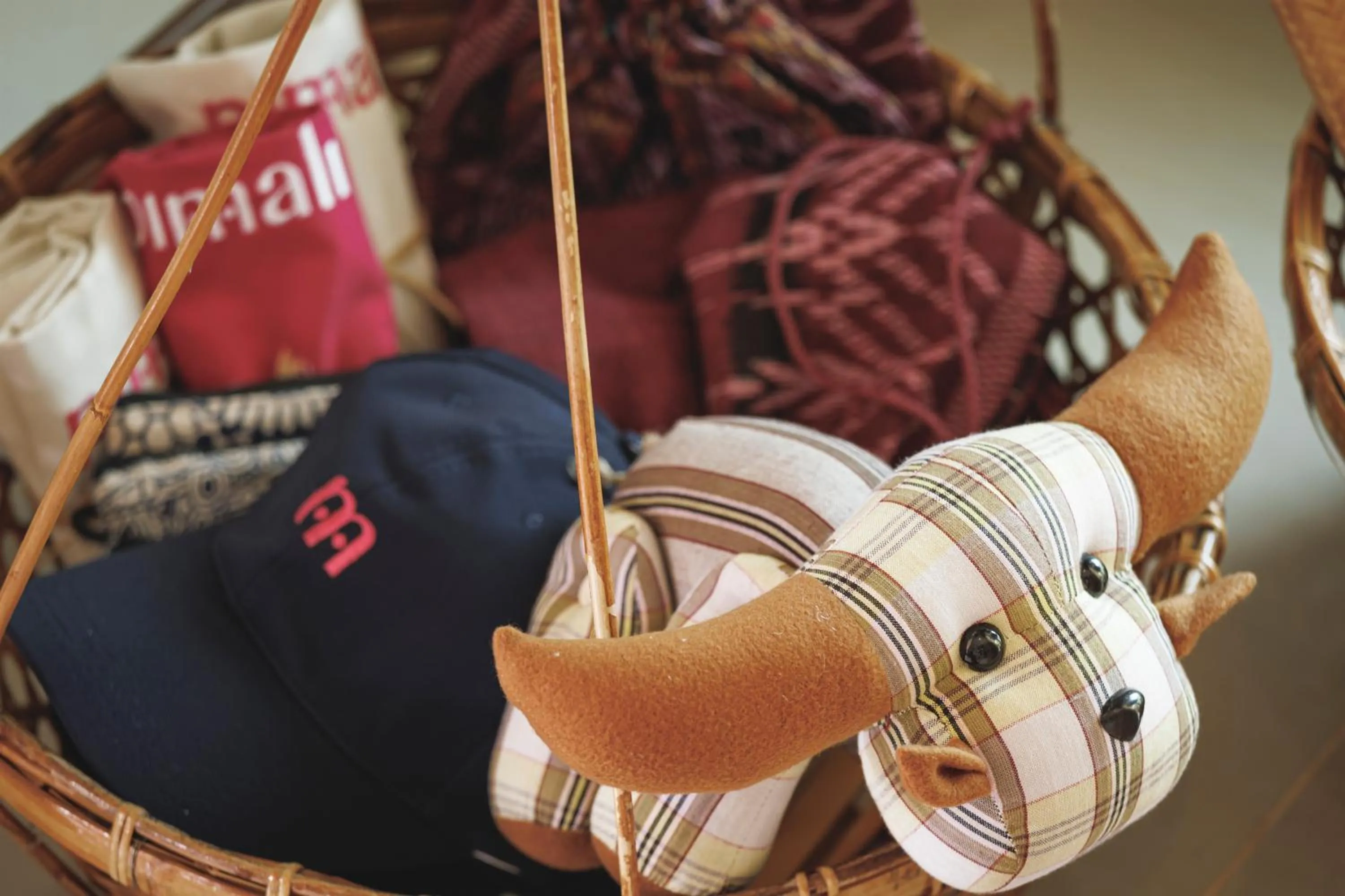 Shopping Area in Pimali Resort & Training Centre