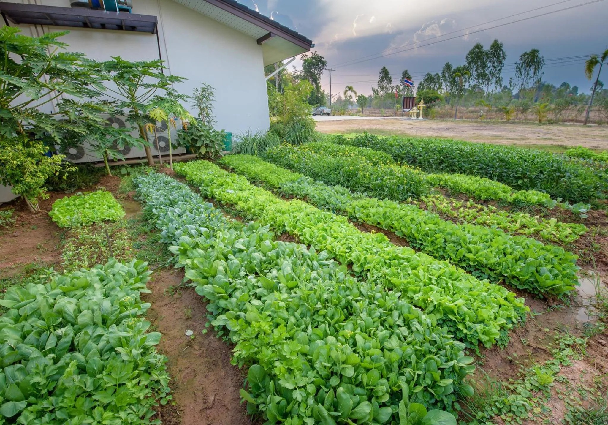 Garden in Pimali Resort & Training Centre