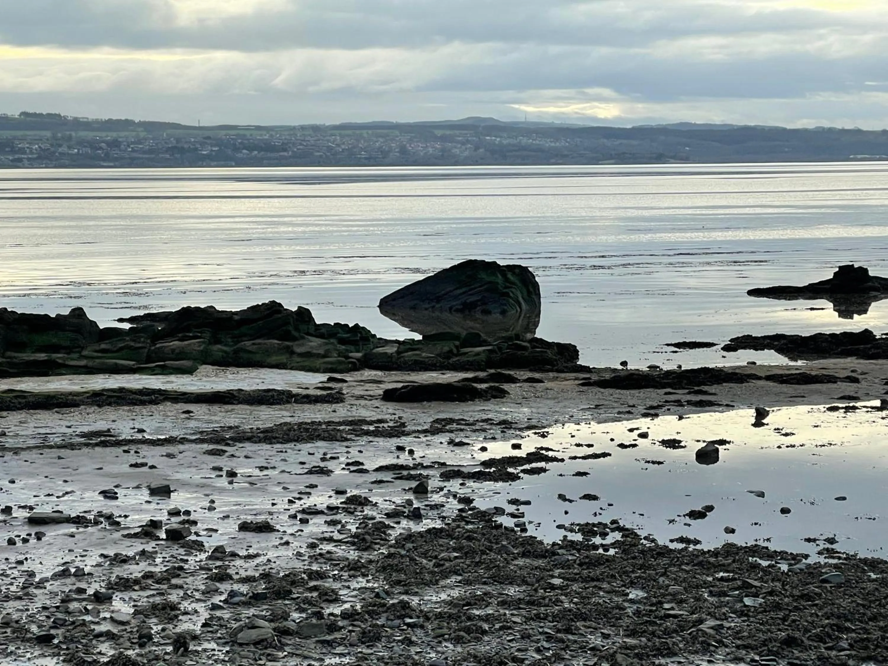 Natural landscape in Saorsa House Culross