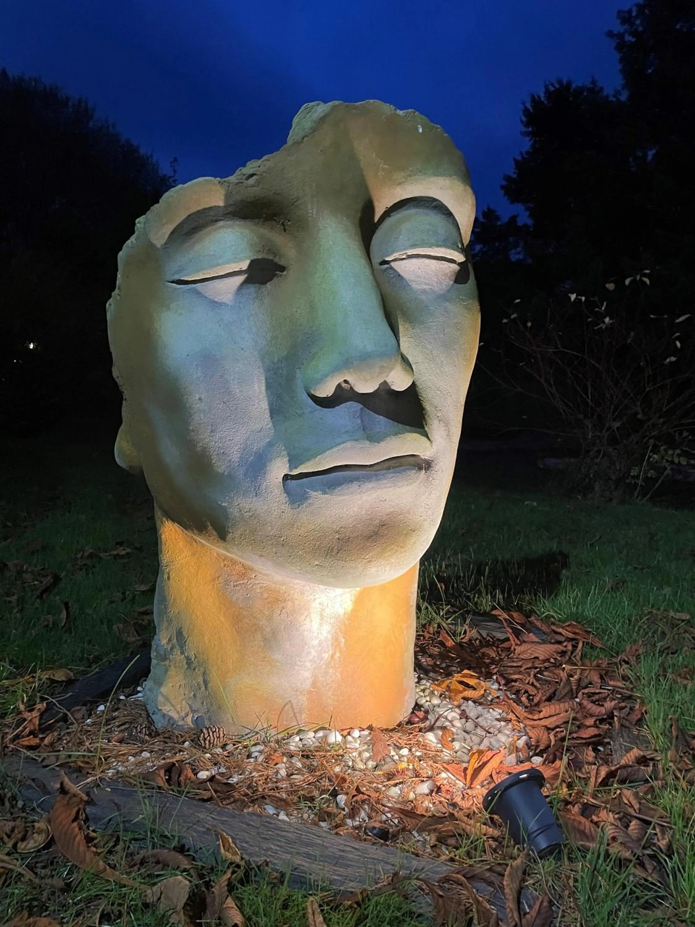 Garden in Logis Hotel Oasis