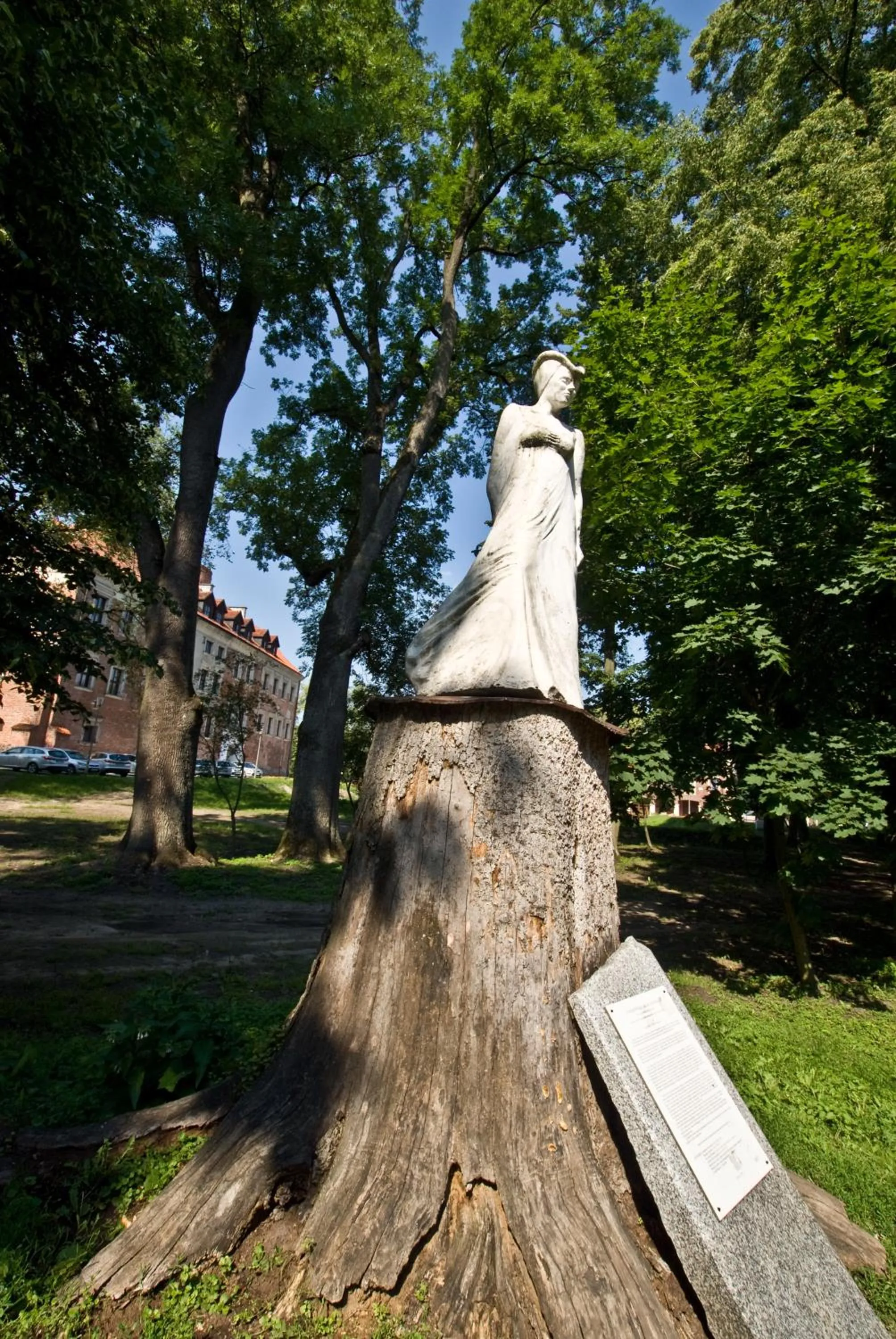 Garden in Dom Pracy Twórczej