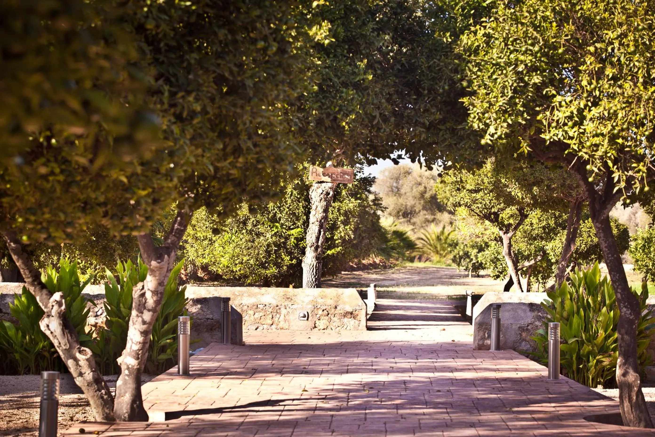 Natural landscape in Can Jaume Private Villas by Ocean Drive