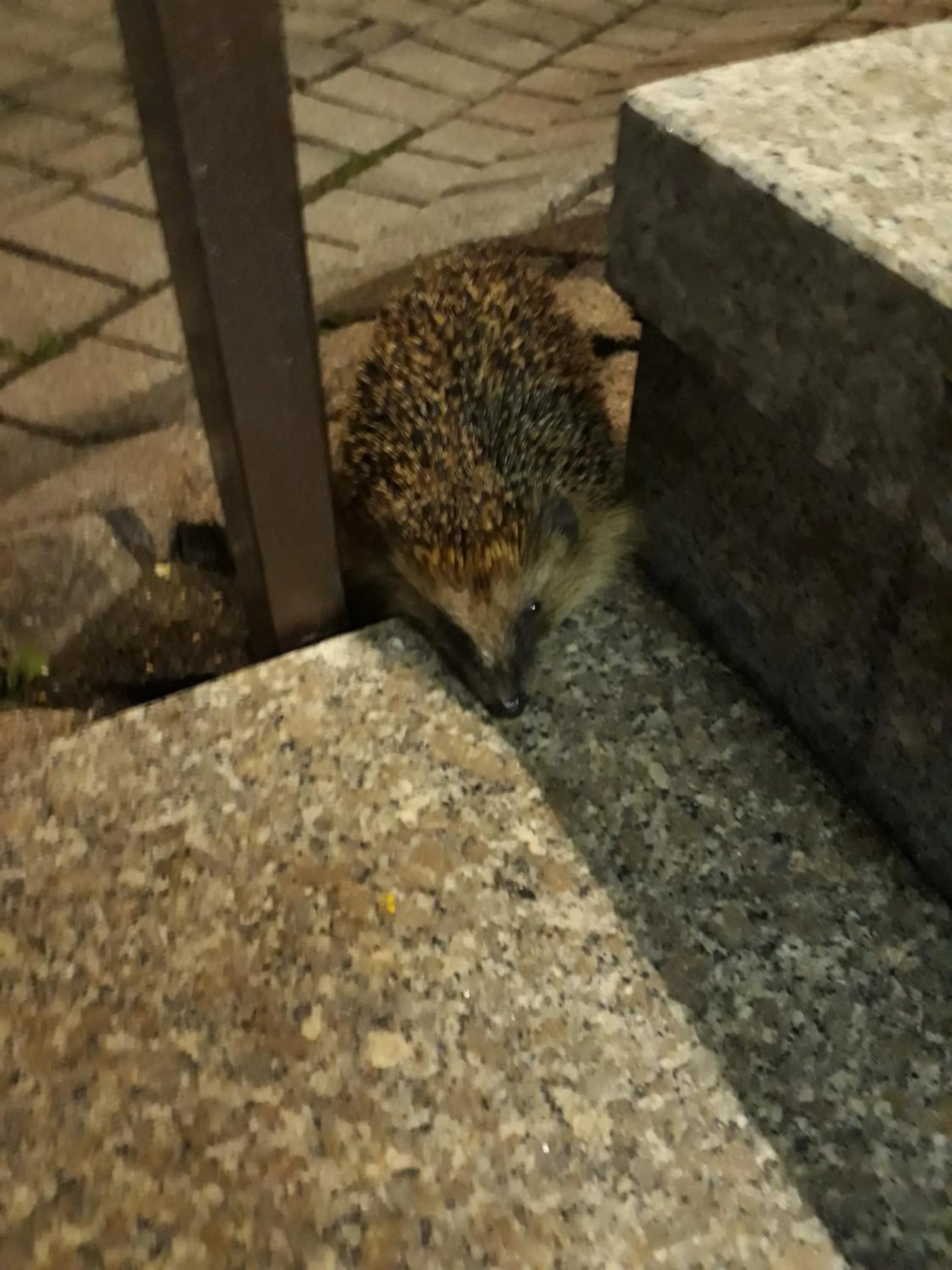 Property building in Hotel Eleon