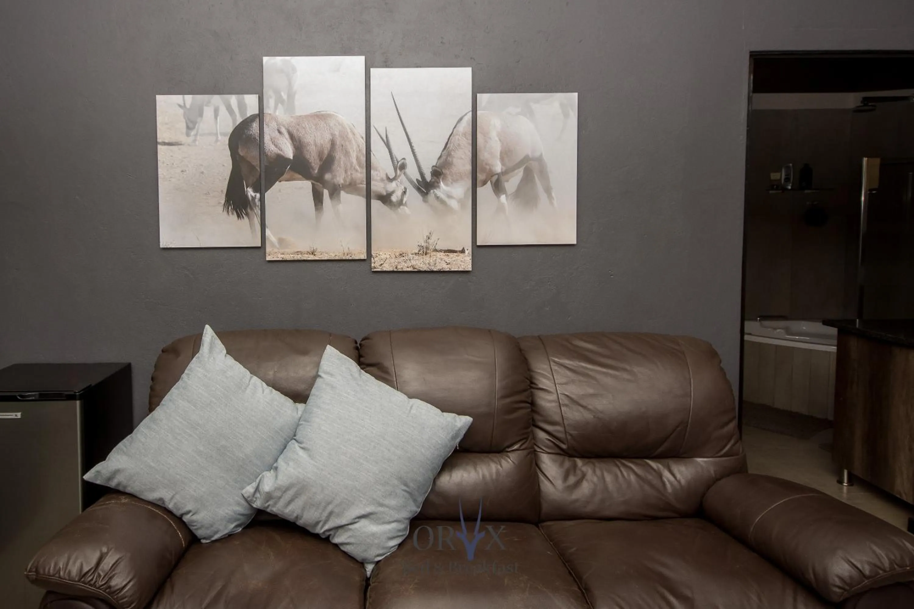 TV and multimedia in Oryx B&B Reserved Guests Only