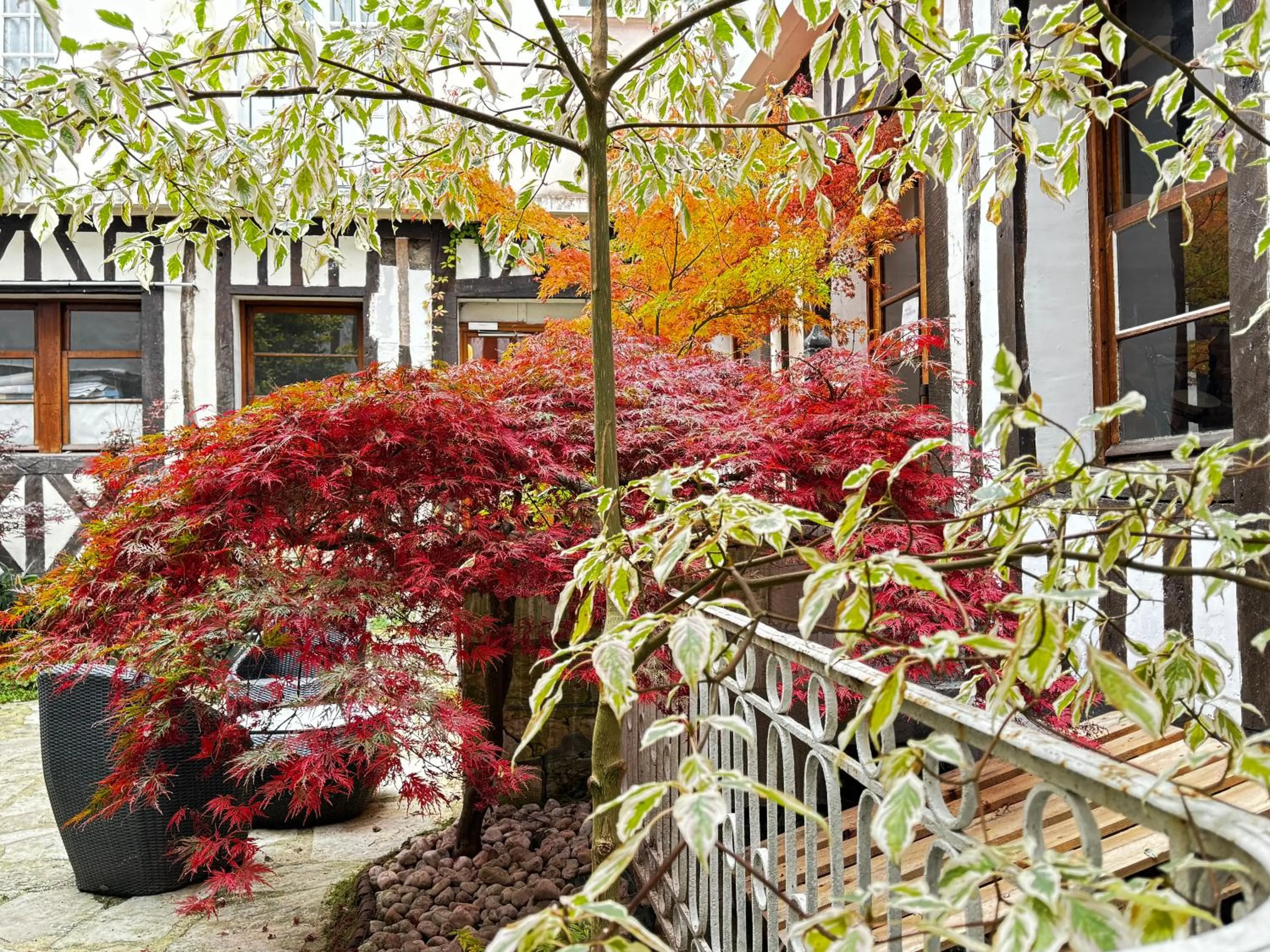 Garden in Hôtel De La Cathédrale