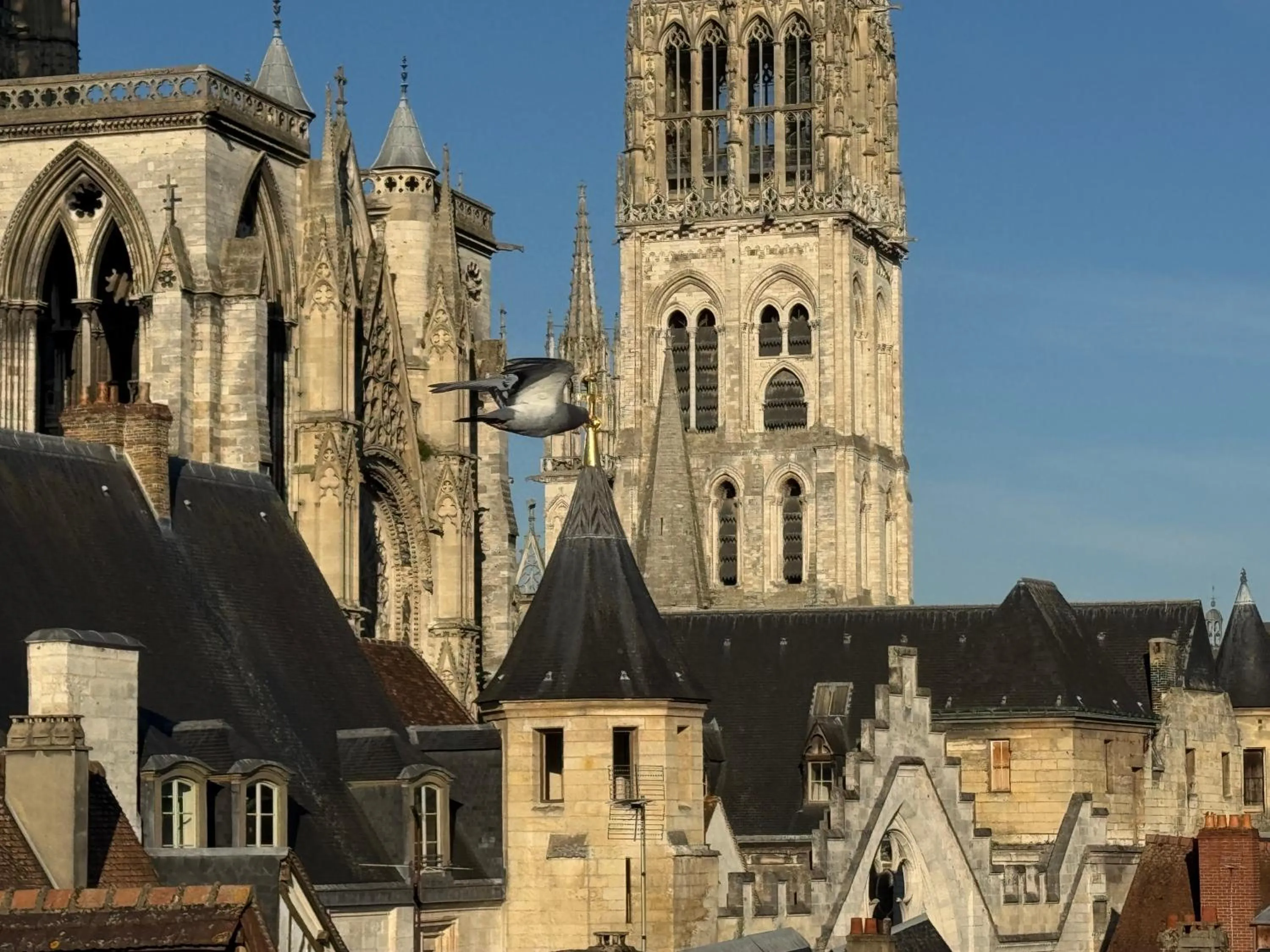 Landmark view in Hôtel De La Cathédrale