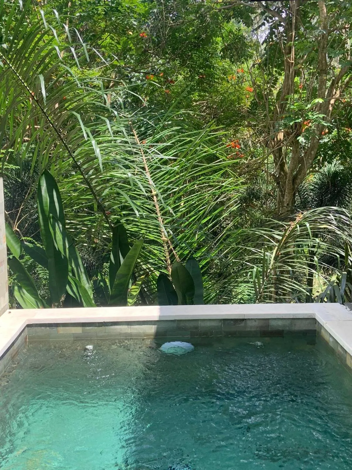 Natural landscape in Ubud Hills Villas & Resort