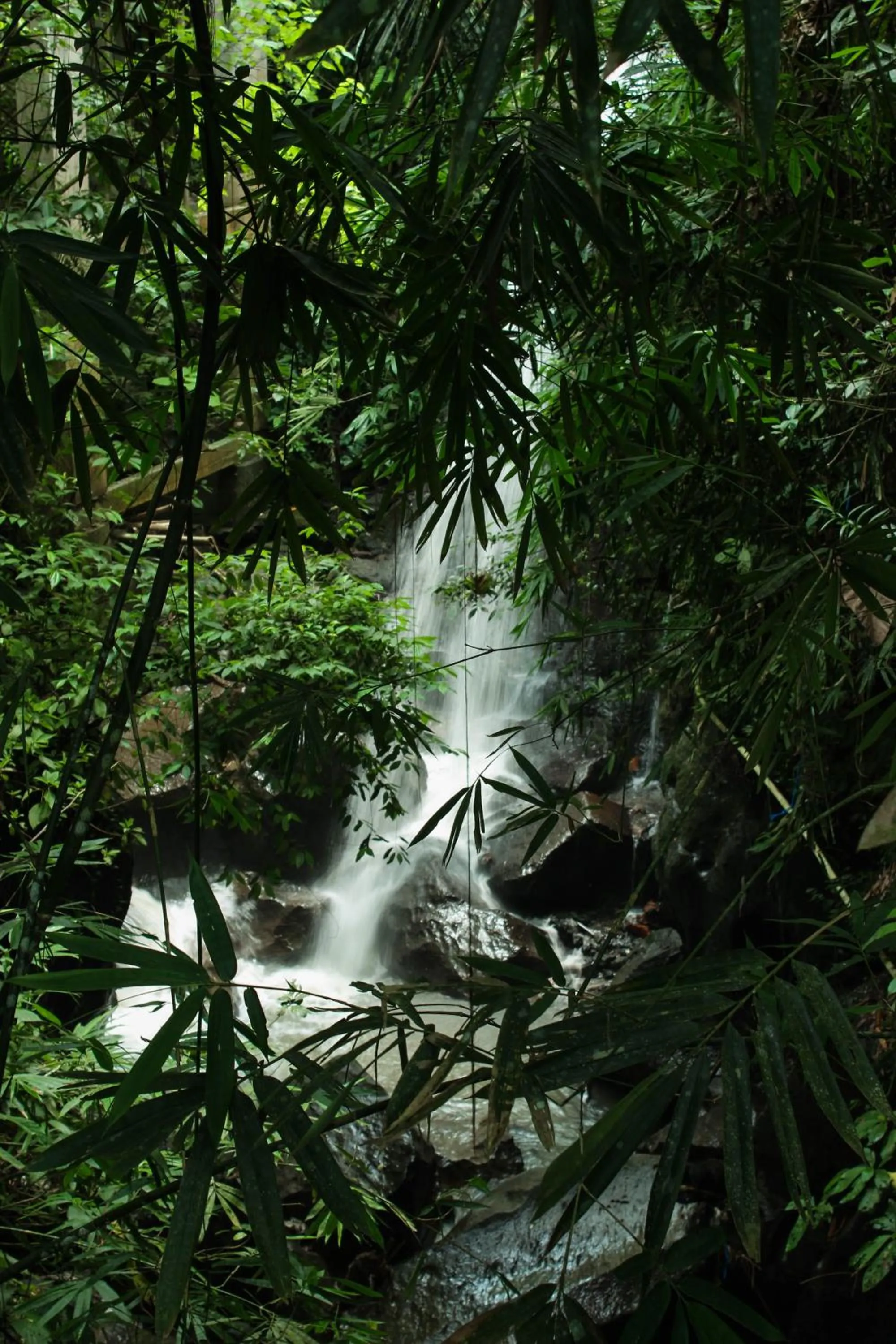 Natural landscape in Ubud Hills Villas & Resort