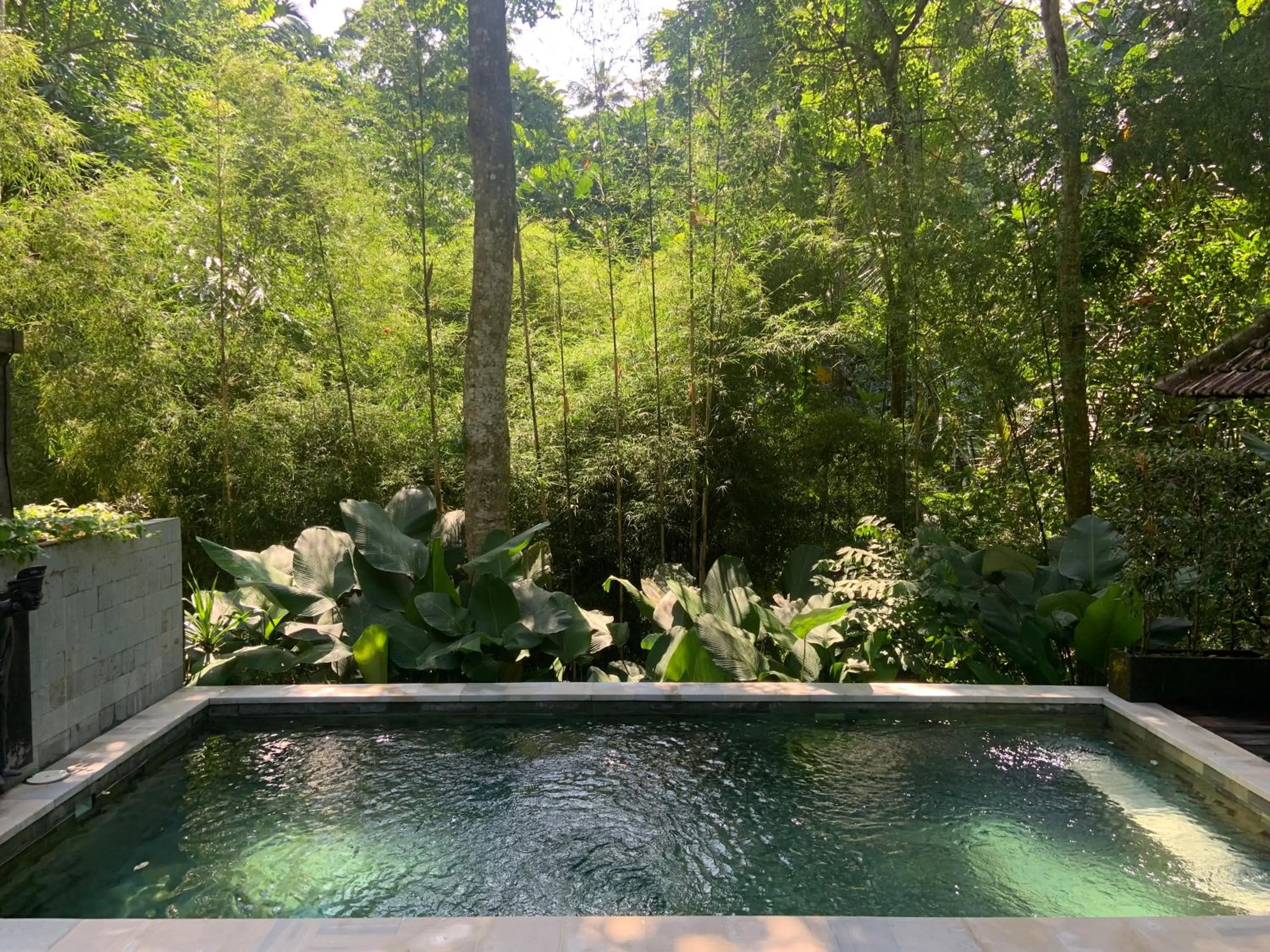 View (from property/room) in Ubud Hills Villas & Resort