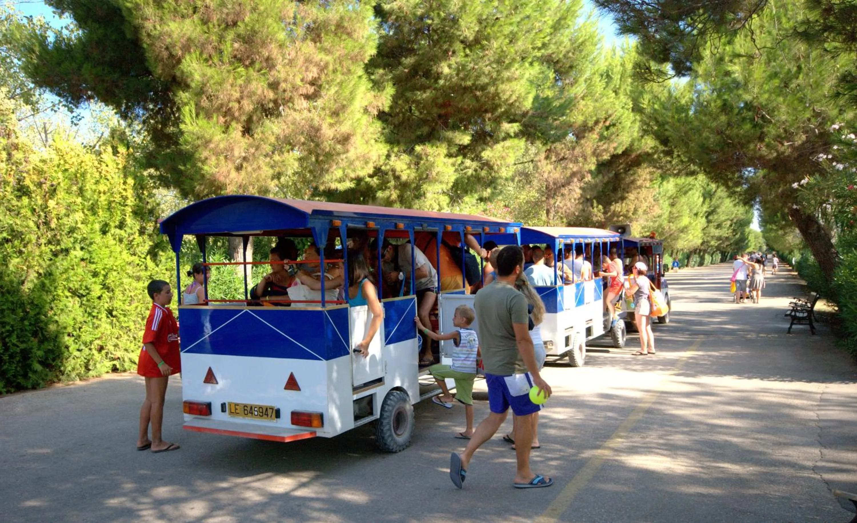 Other in Villaggio Albatros Resort