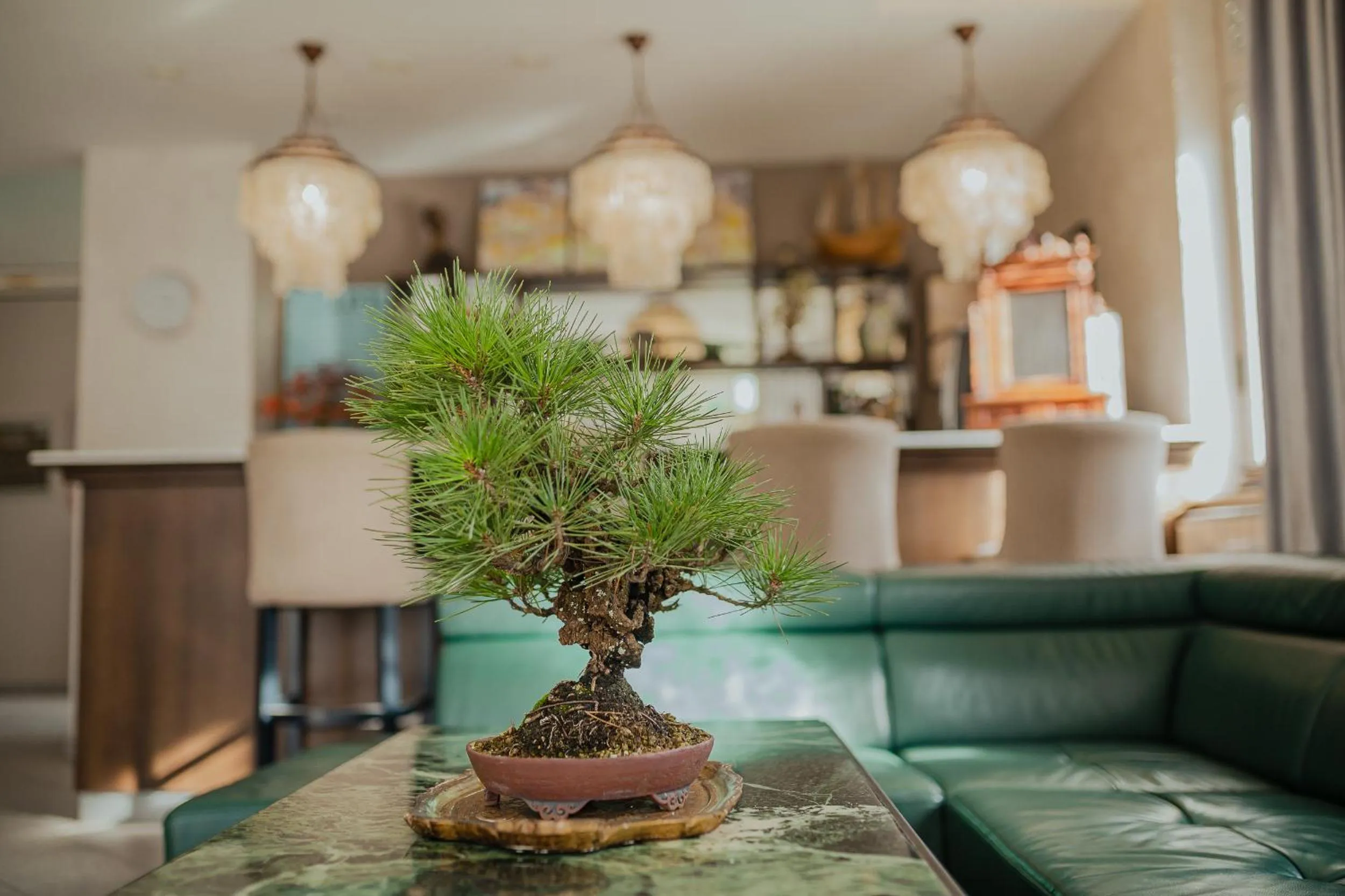 Lobby or reception in Hotel Maj Inn