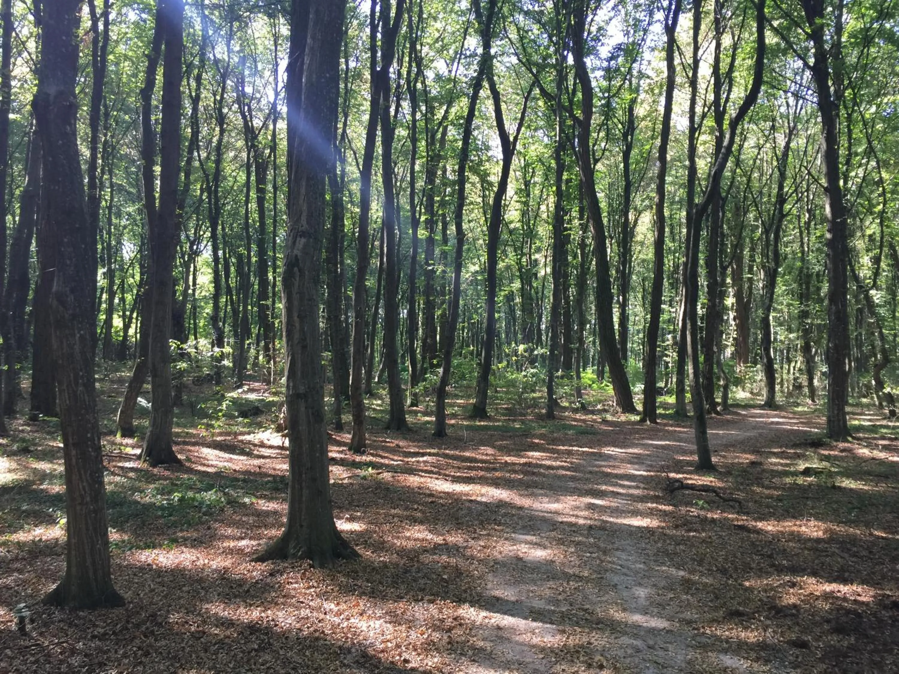 Day in Hotel Maj Inn