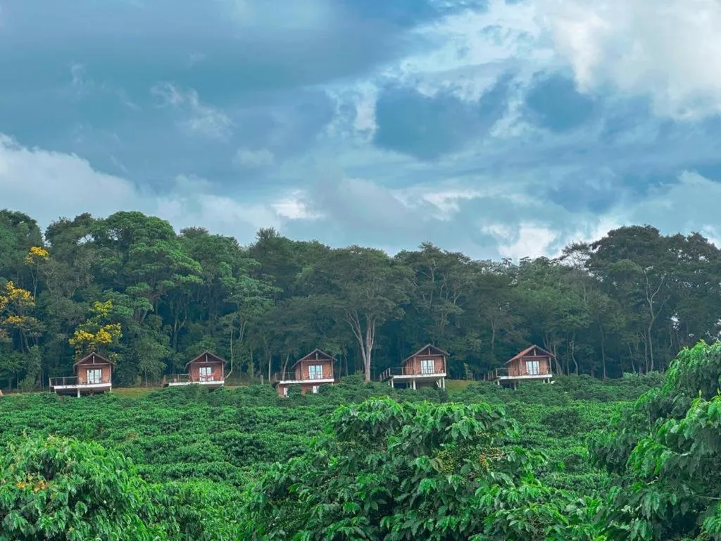 Spring in Pousada Café da Mata
