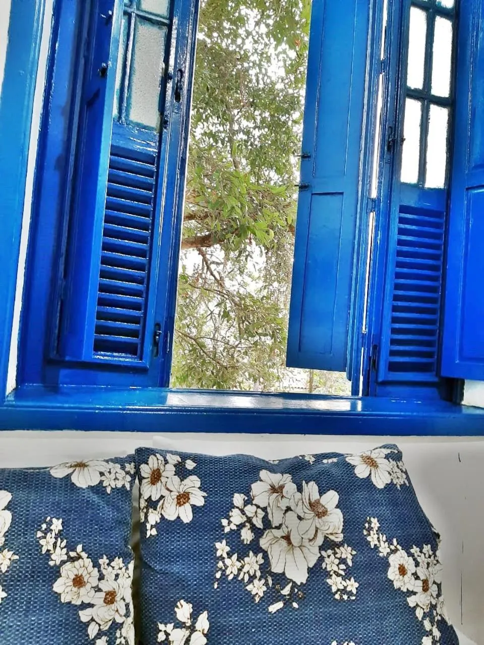 Bed in Brasileranza Hostel