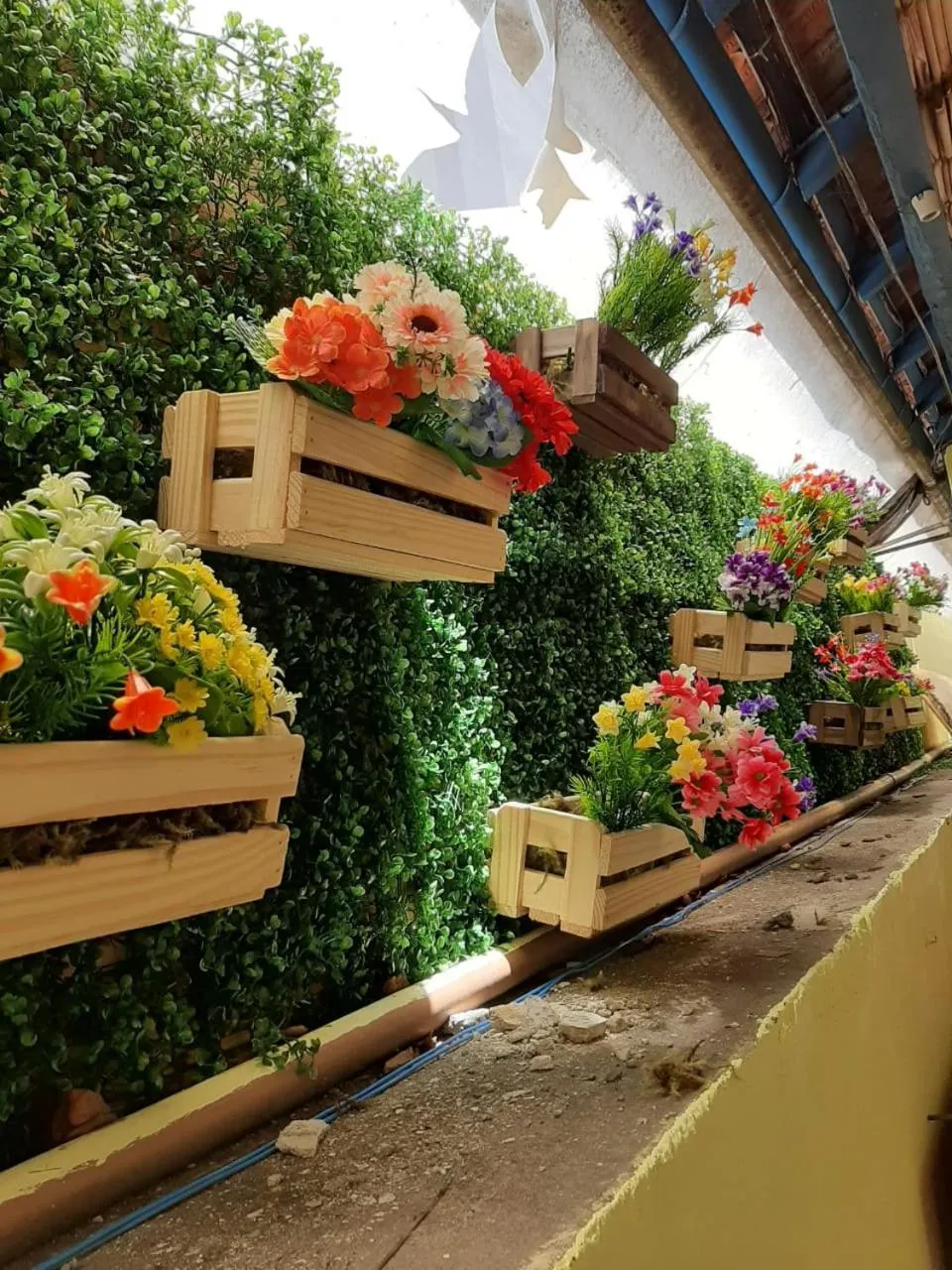 Garden in Brasileranza Hostel