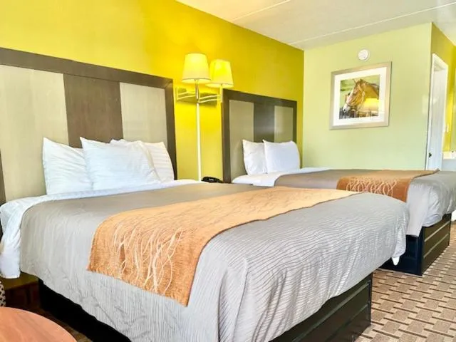 Bed in American Inn Princeton