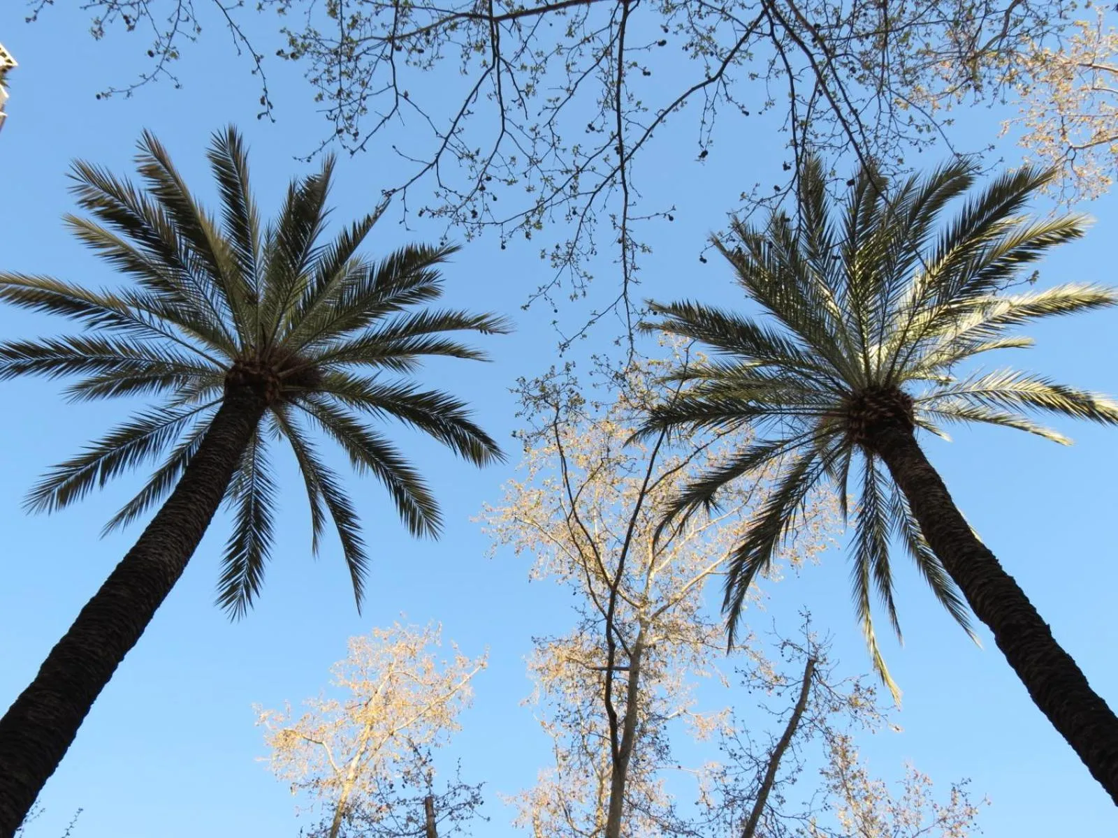 Property building in Hostal Petit Príncep