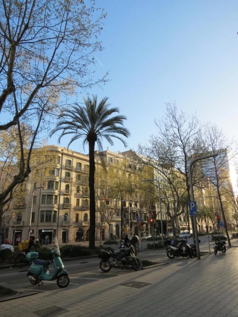 Neighbourhood in Hostal Petit Príncep