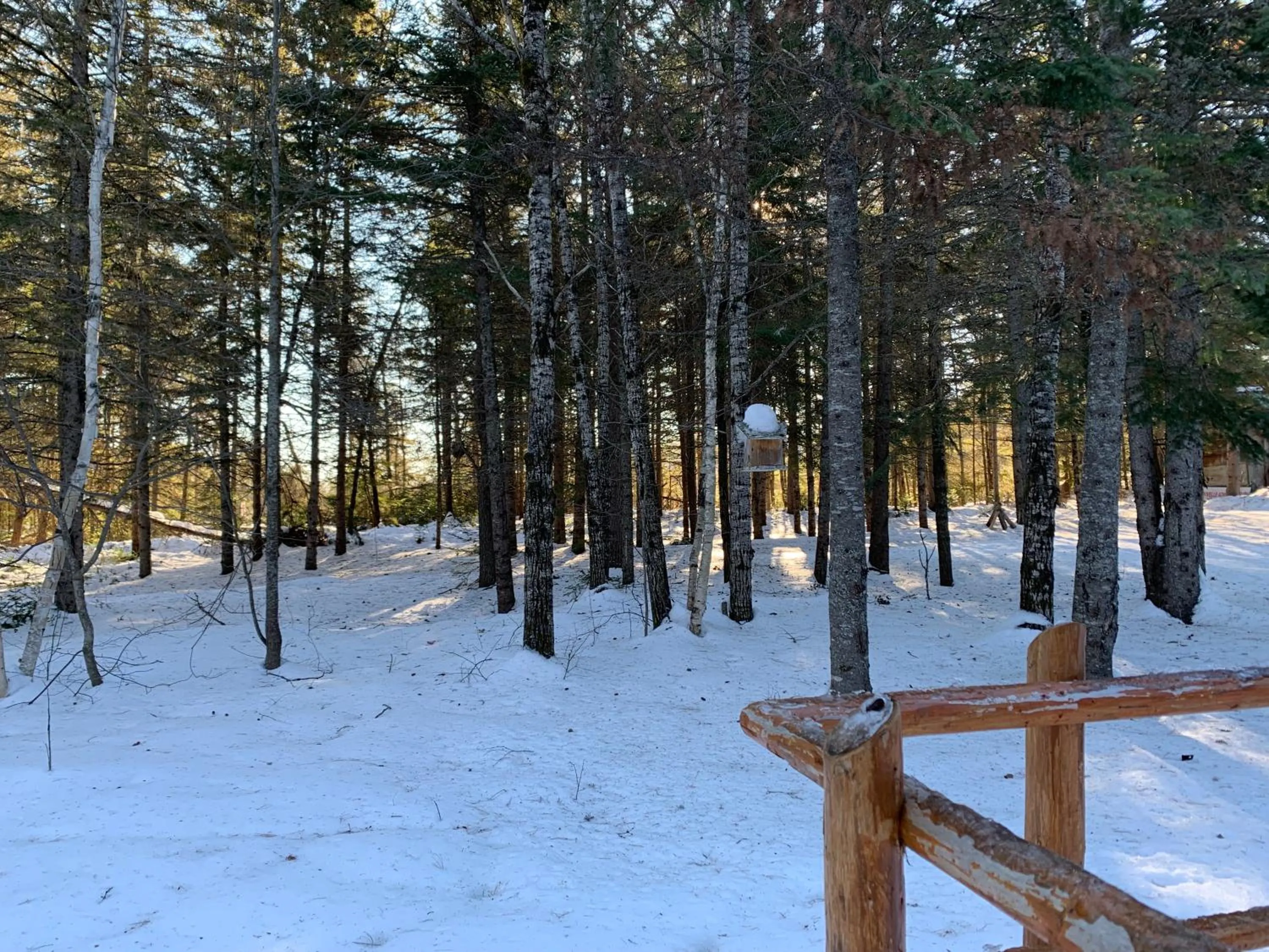 Garden view in L'Auberge Refuge du Trappeur