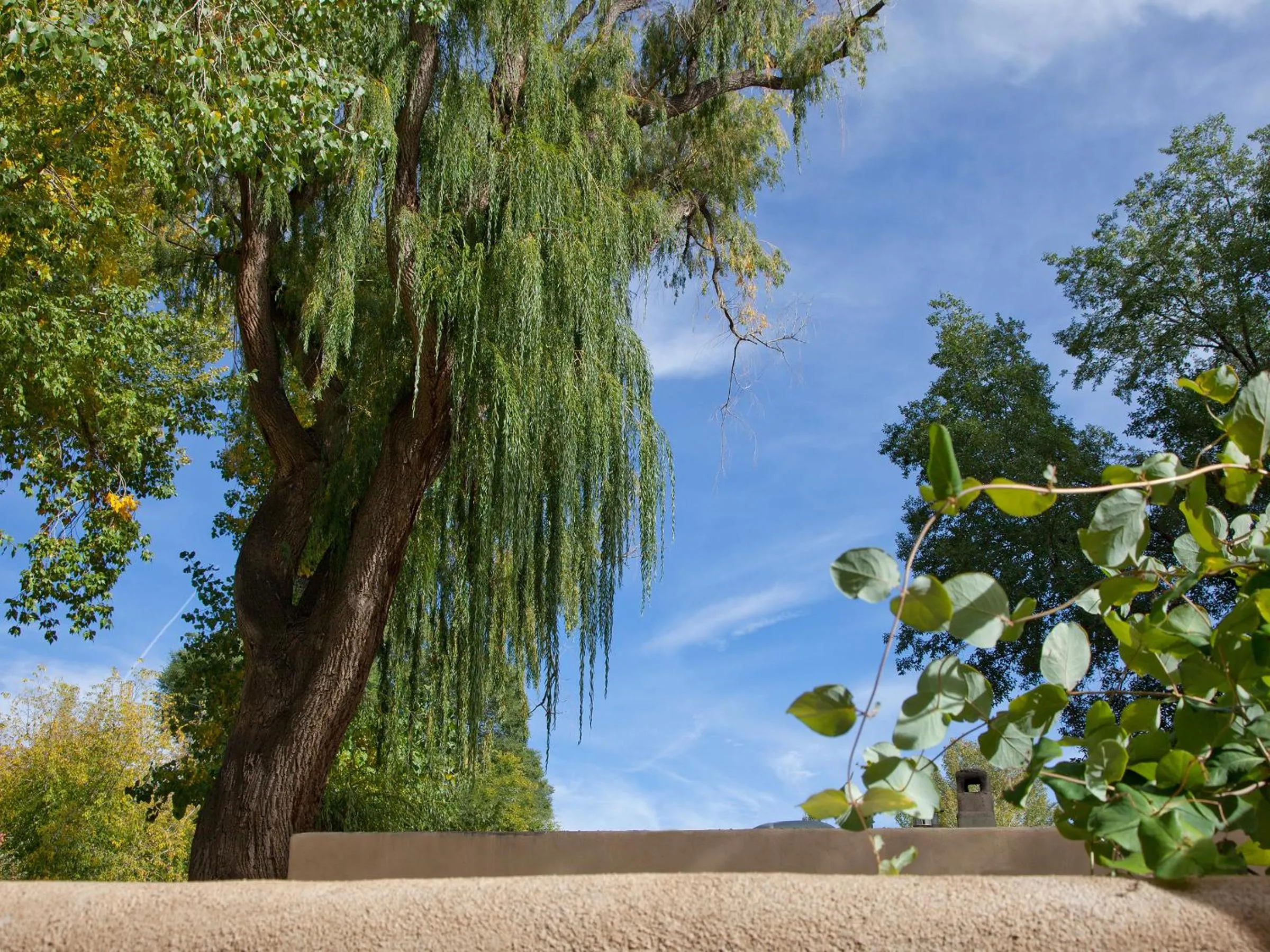 Other in Palacio de Marquesa