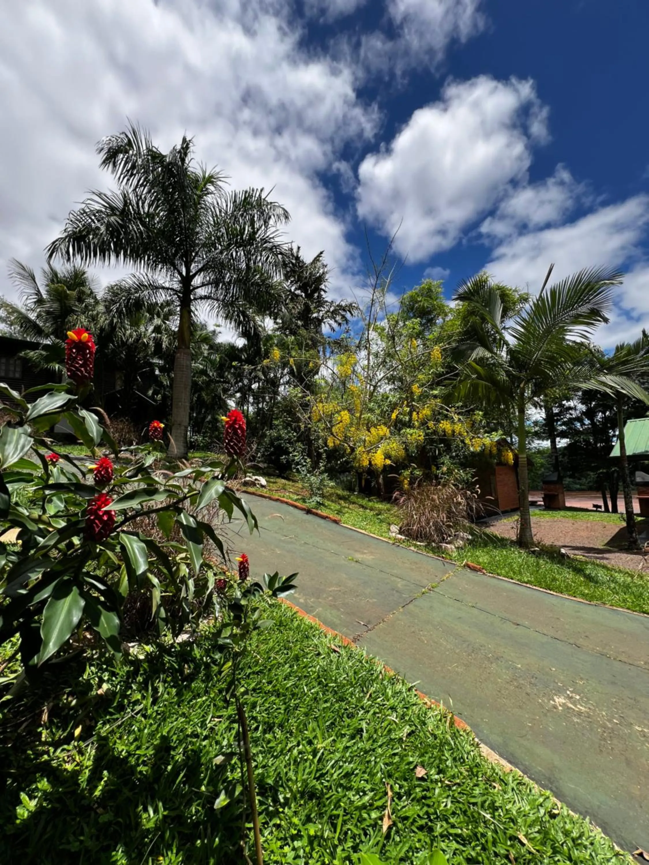 Garden in Costa del Sol Iguazú