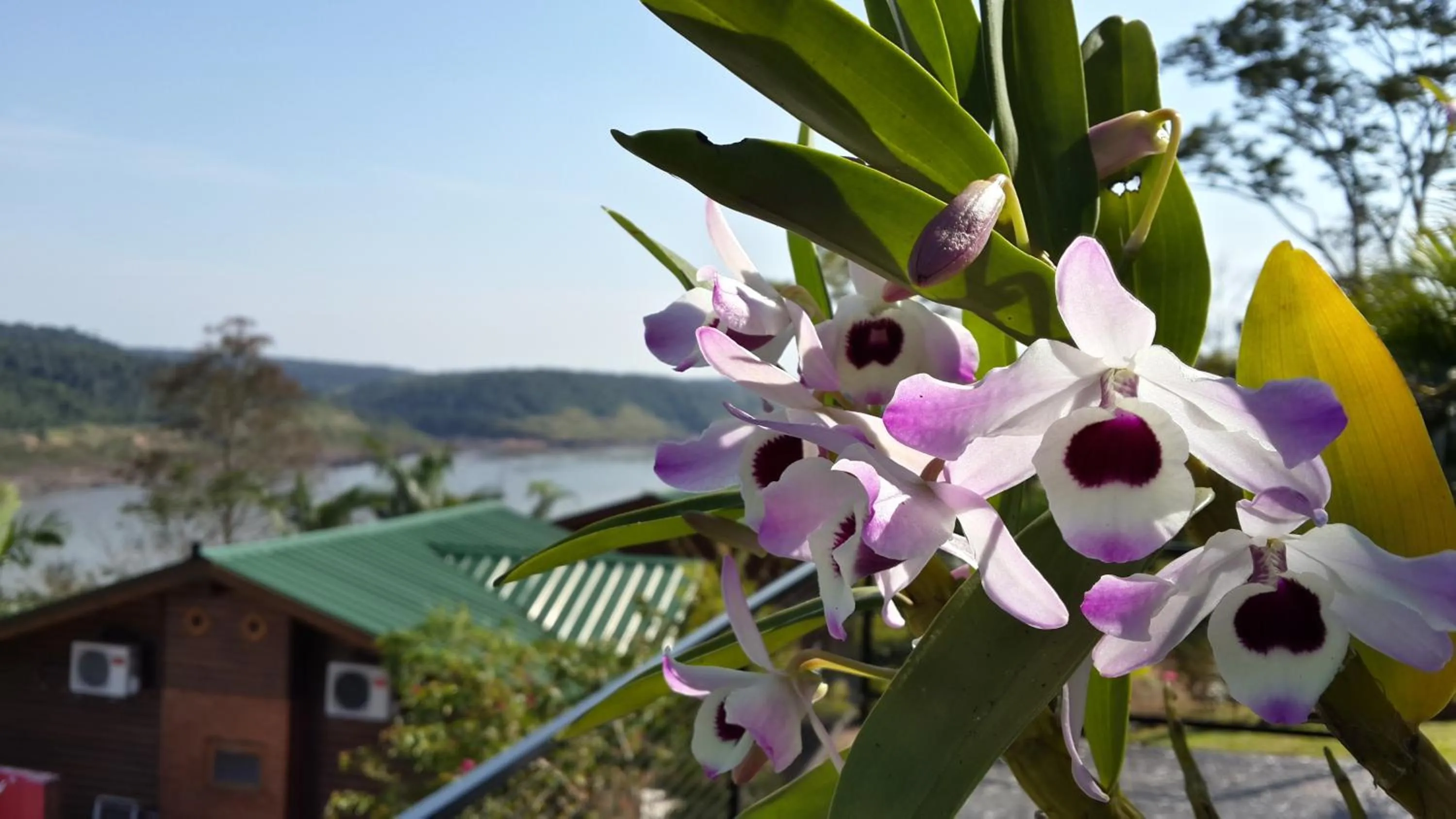 Garden in Costa del Sol Iguazú