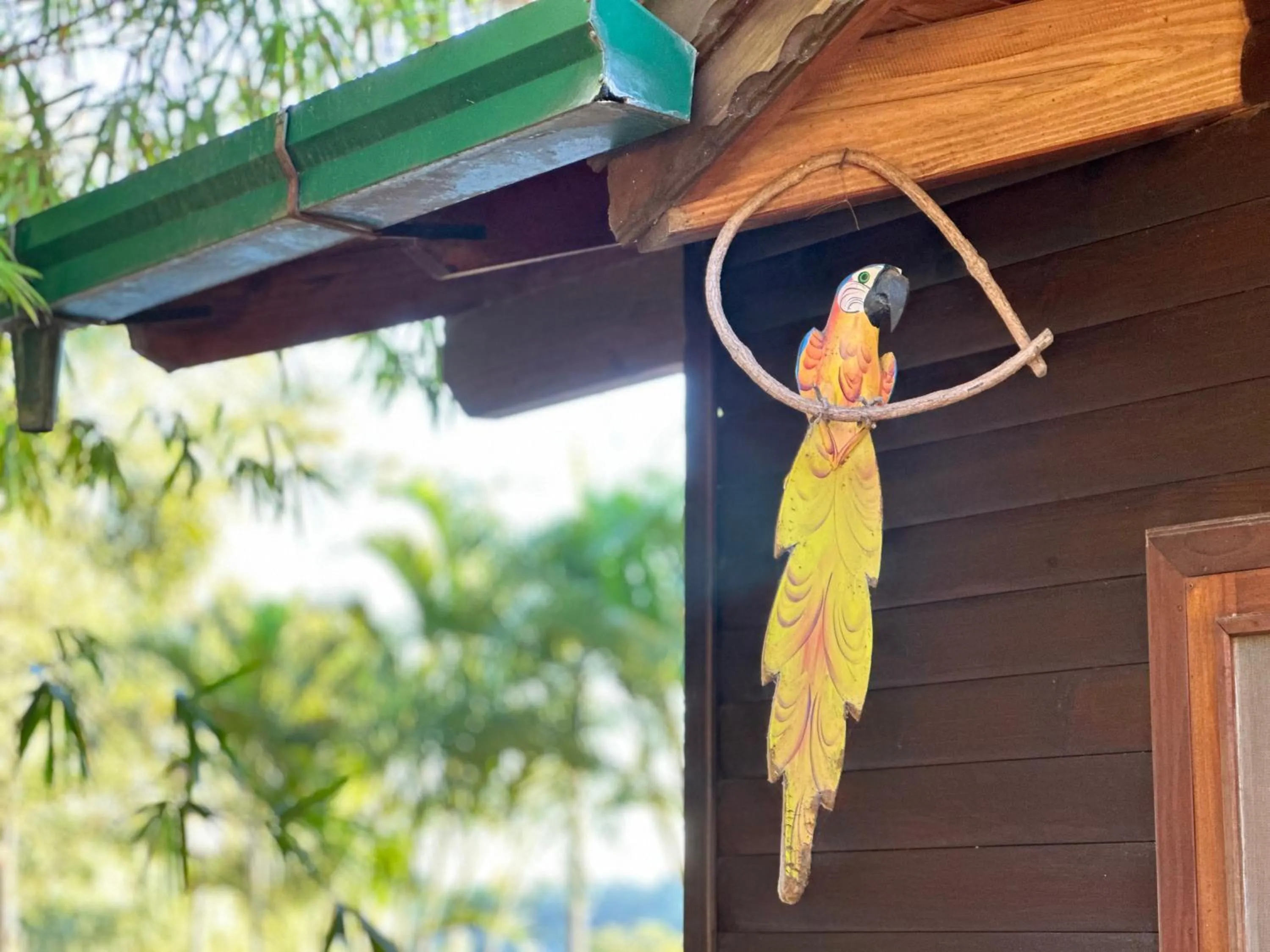 Property building in Costa del Sol Iguazú