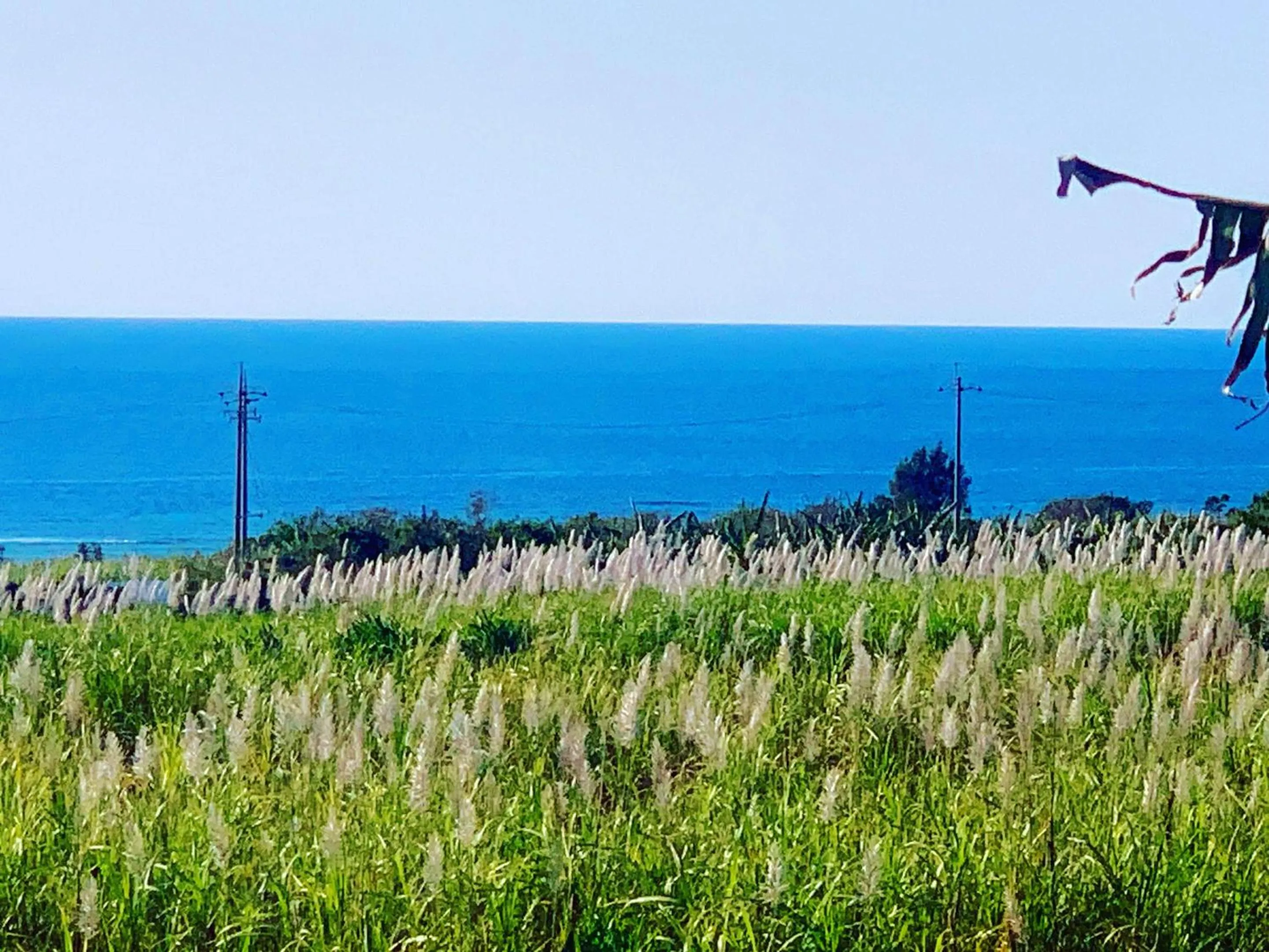 Sea view in Panorama