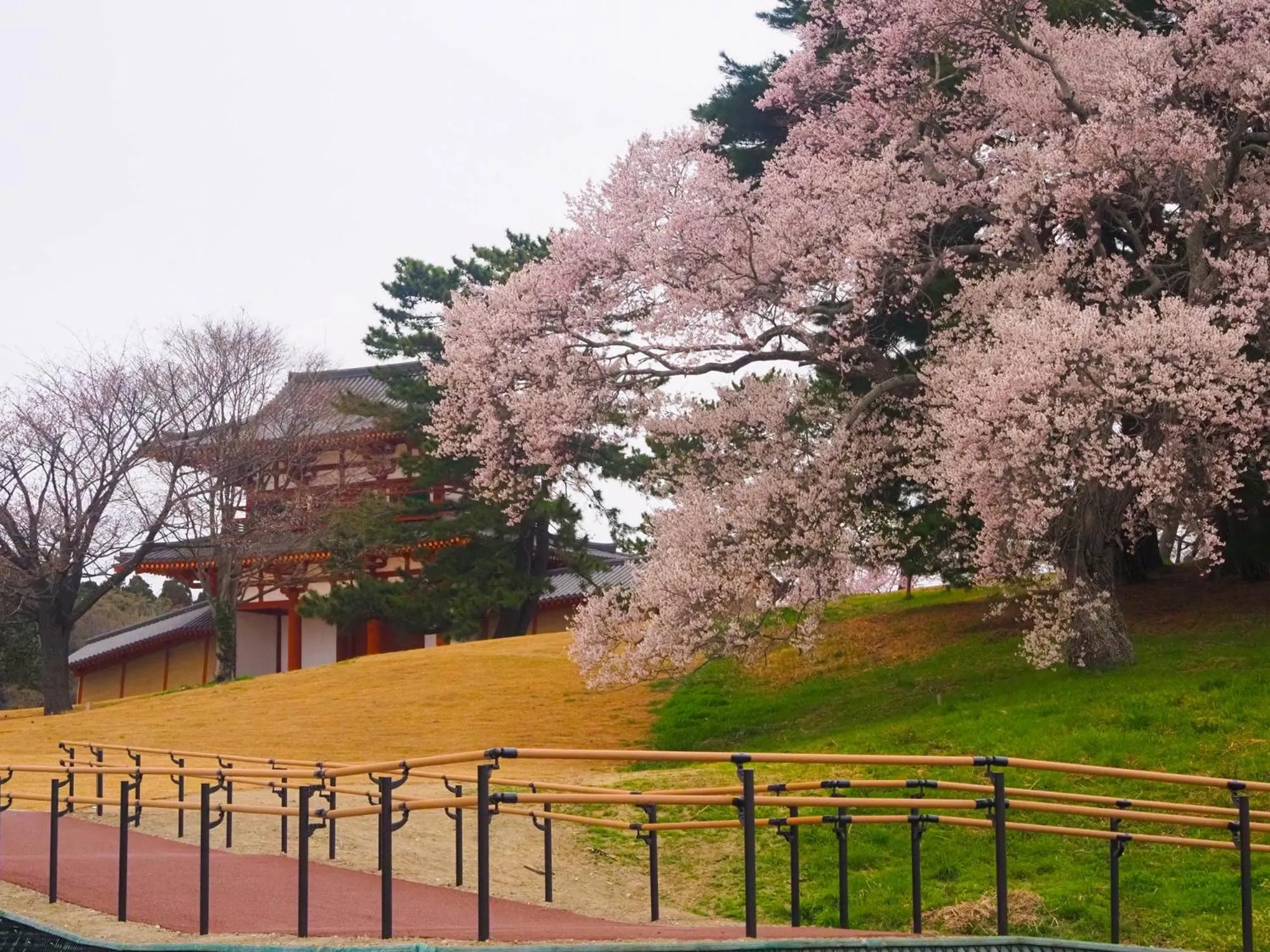 Nearby landmark in Tabist My Room Tagajjo