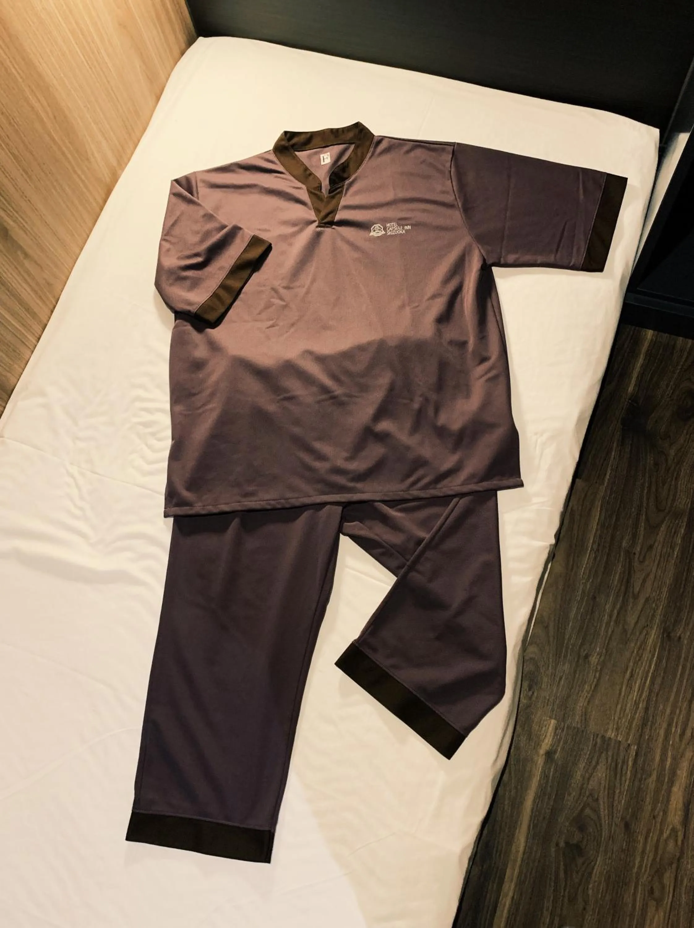 Hotel Capsule Inn Shizuoka