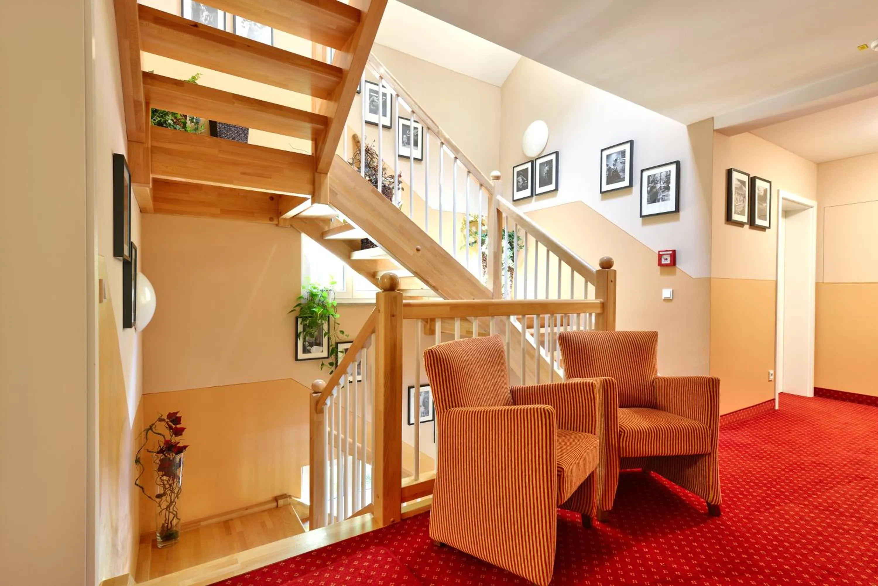 Area and facilities in Hotel Auf Wolke 8