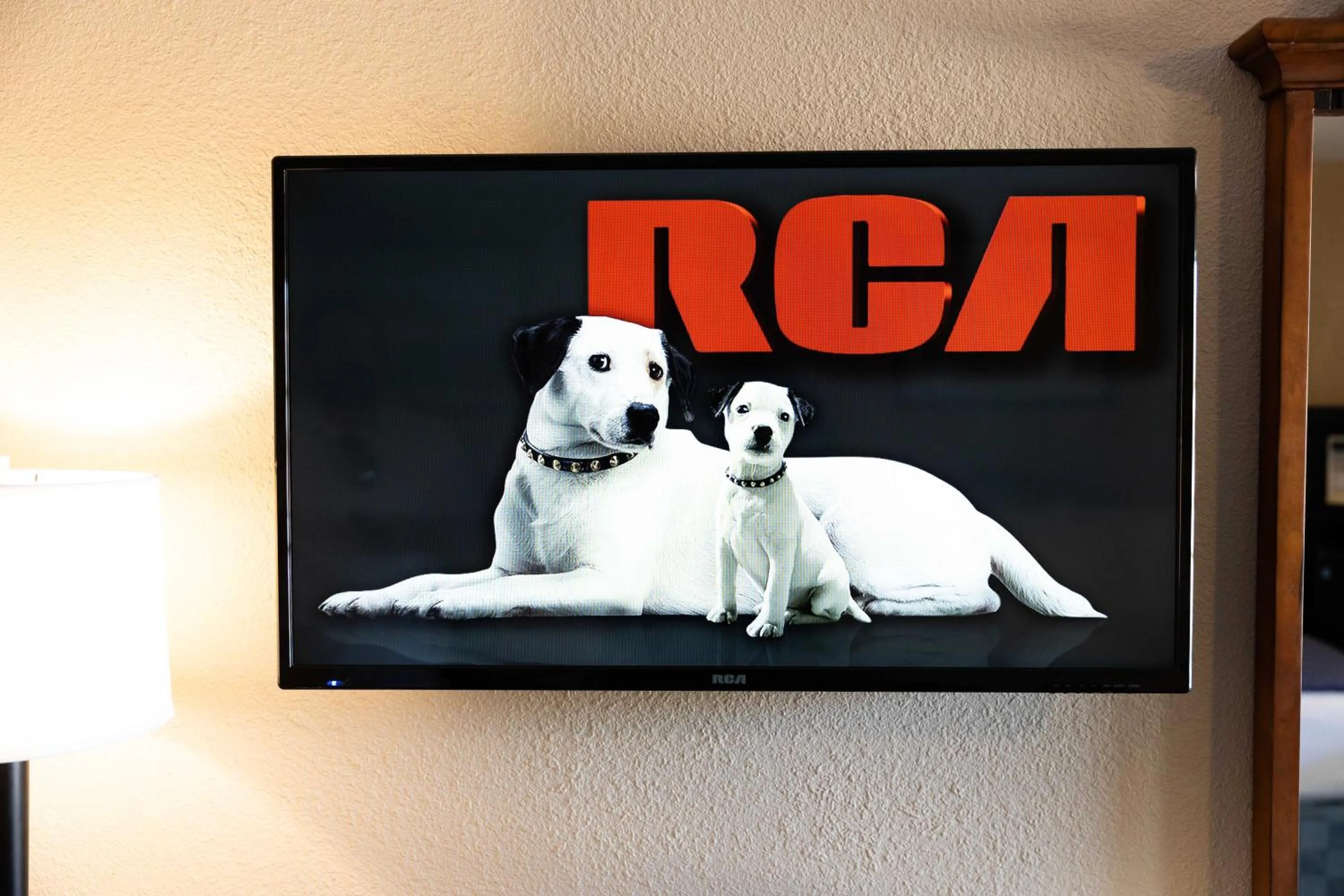 TV and multimedia in Pea Soup Andersen's Inn